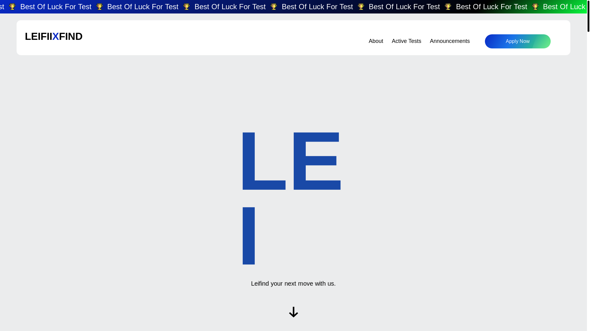 website screenshot of https://leifittous.com/