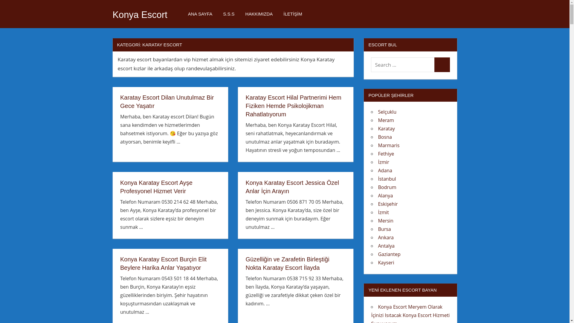 website screenshot of https://pendiksitesi2.shop/