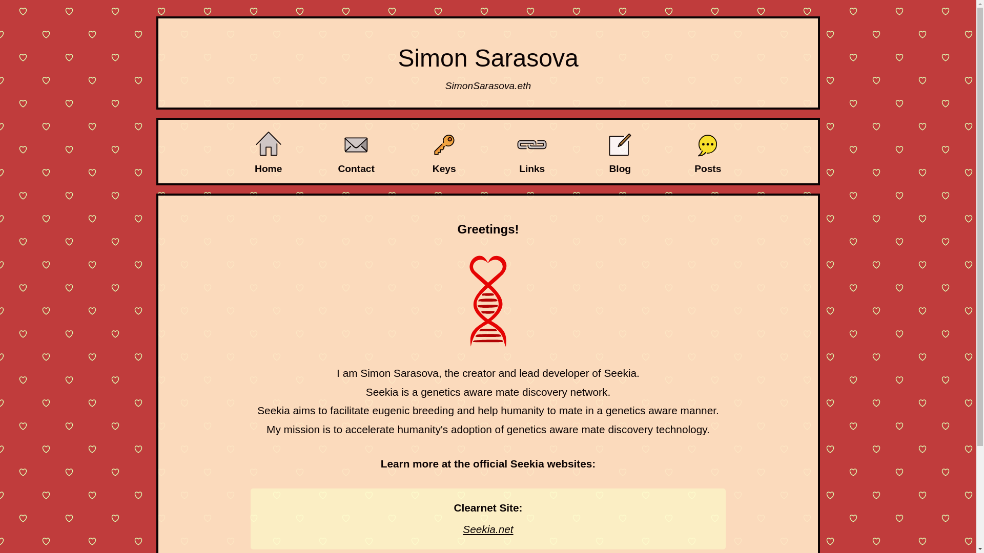 website screenshot of https://simonsarasova.net/