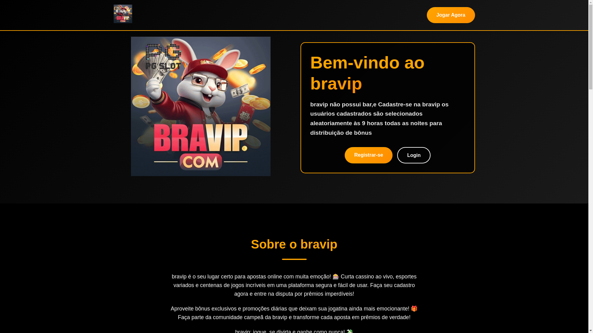 website screenshot of https://bravipaq.com/