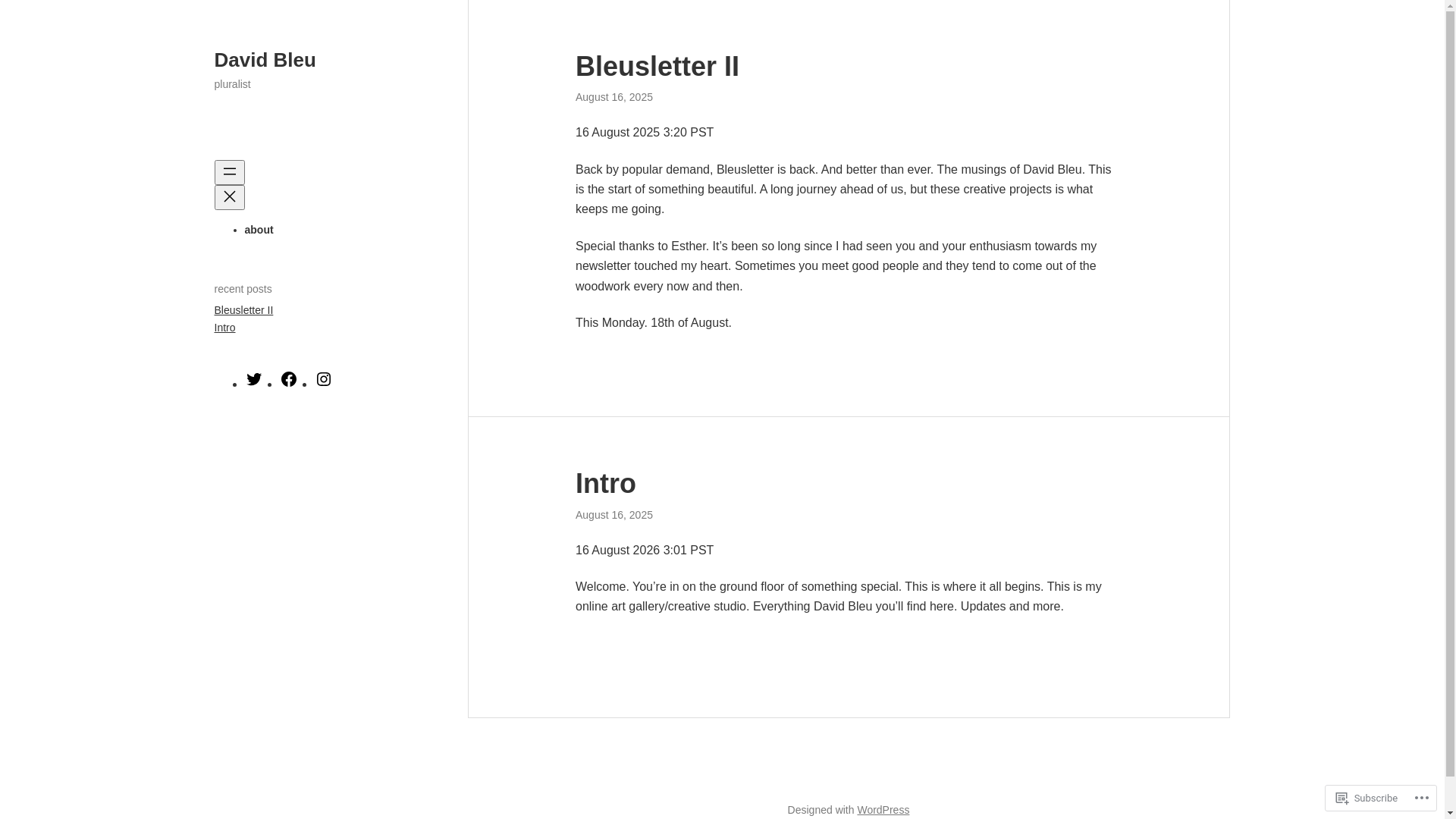 website screenshot of https://david-bleu.com/