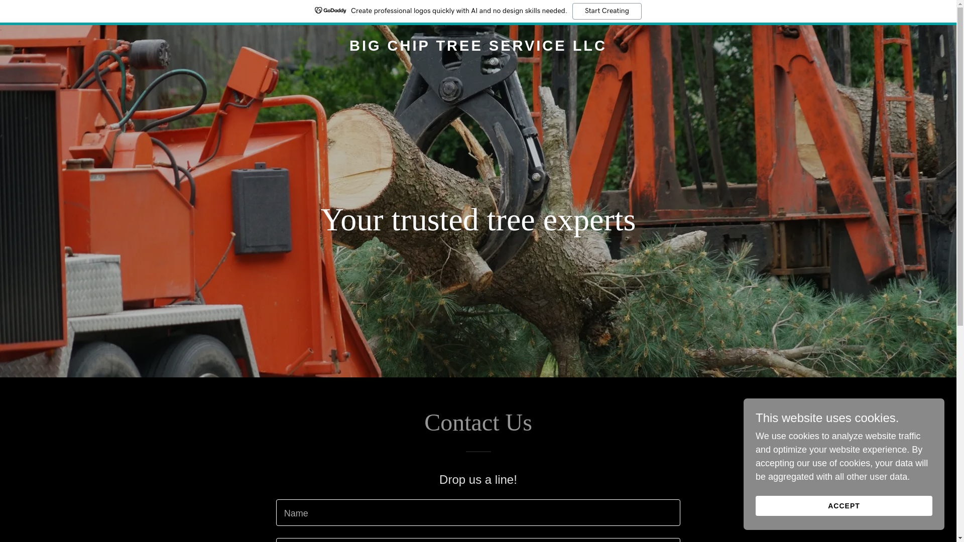 website screenshot of https://bigchiptreeservice.us/