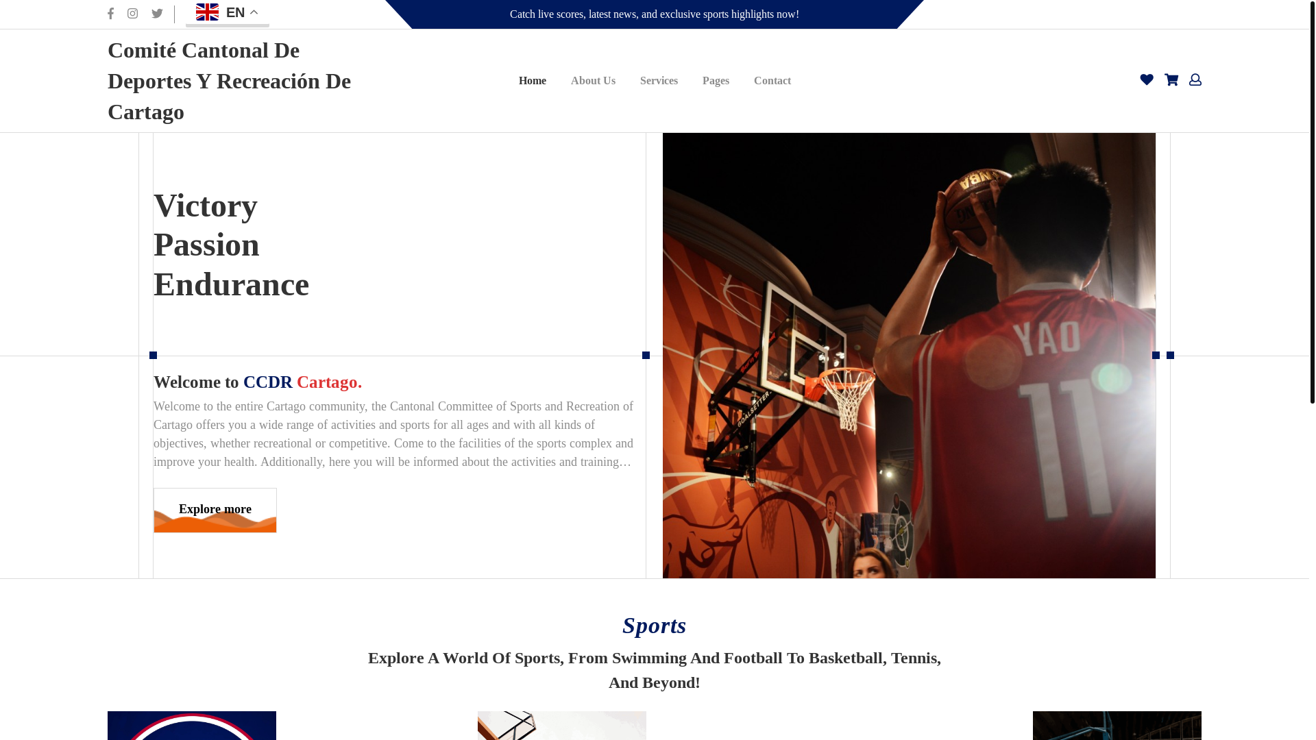 website screenshot of https://ccdrcartago.cr/
