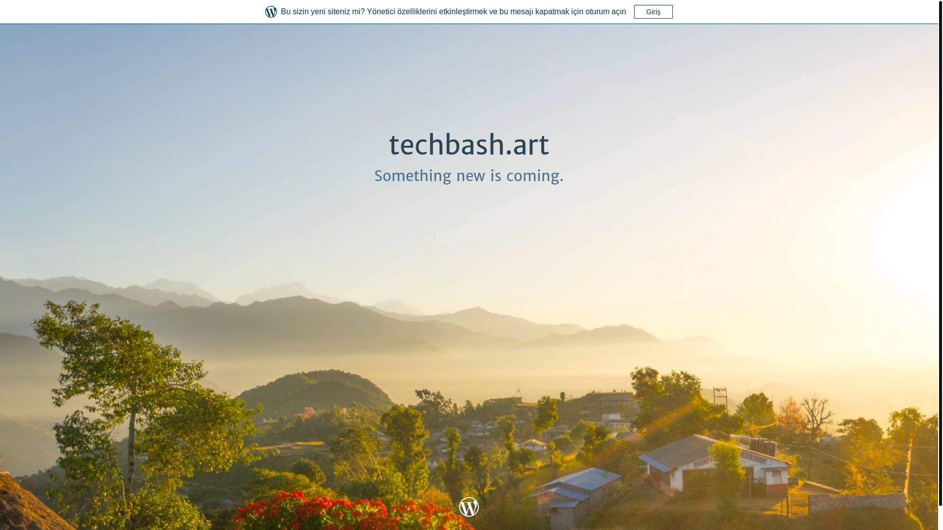 website screenshot of https://techbash.art/