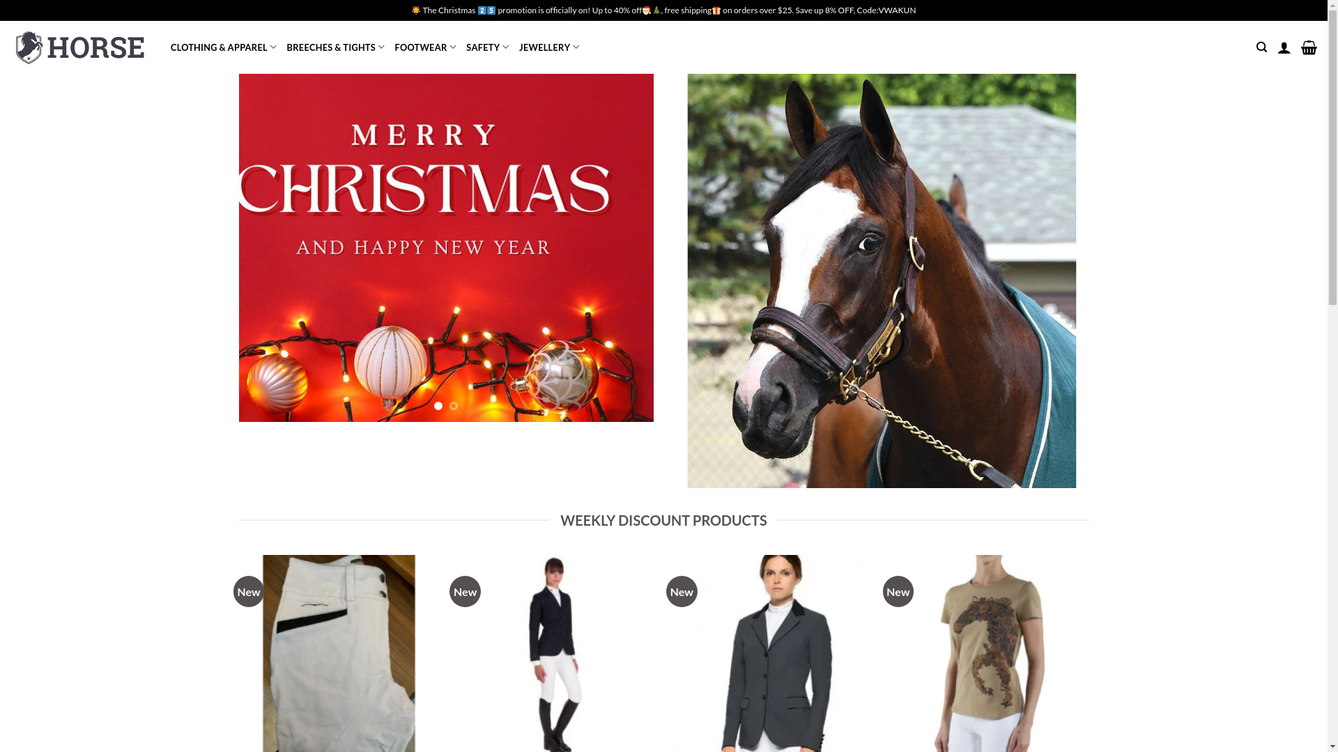 website screenshot of http://www.horseridingsale.com/