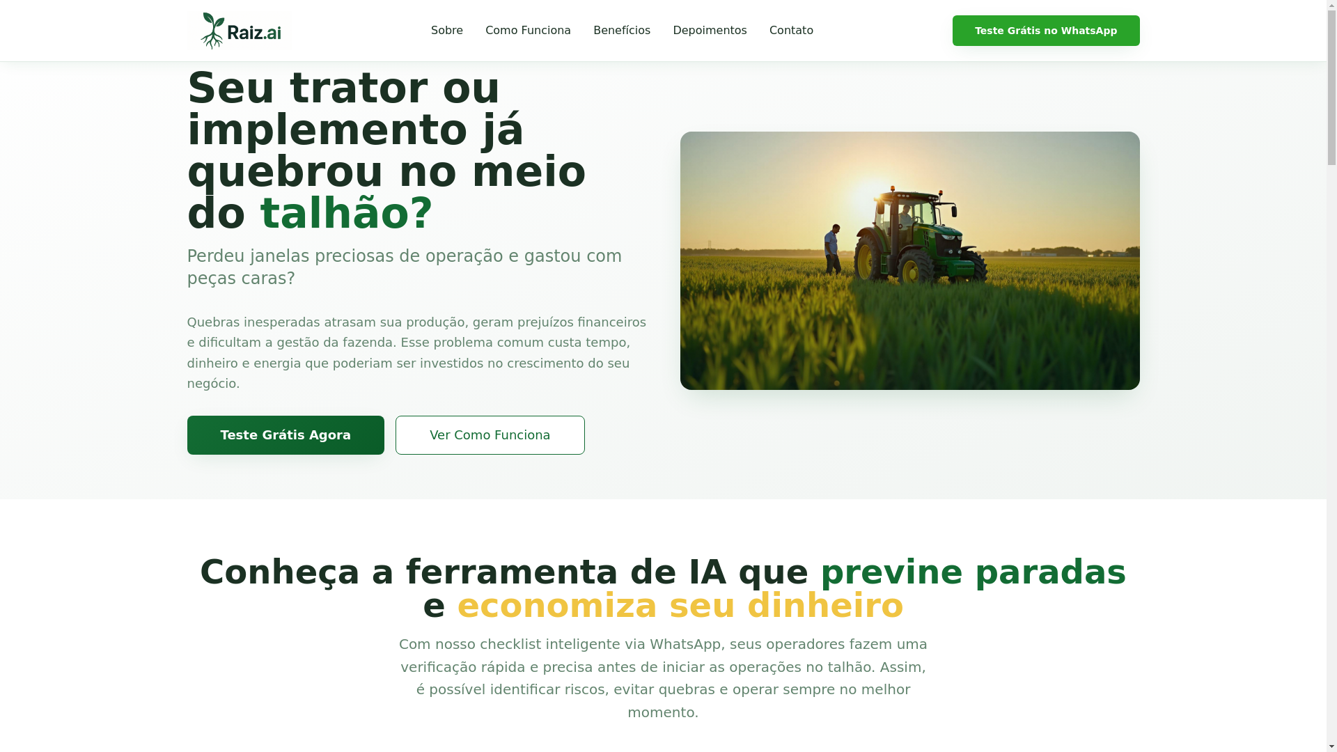 website screenshot of https://araizai.com.br/