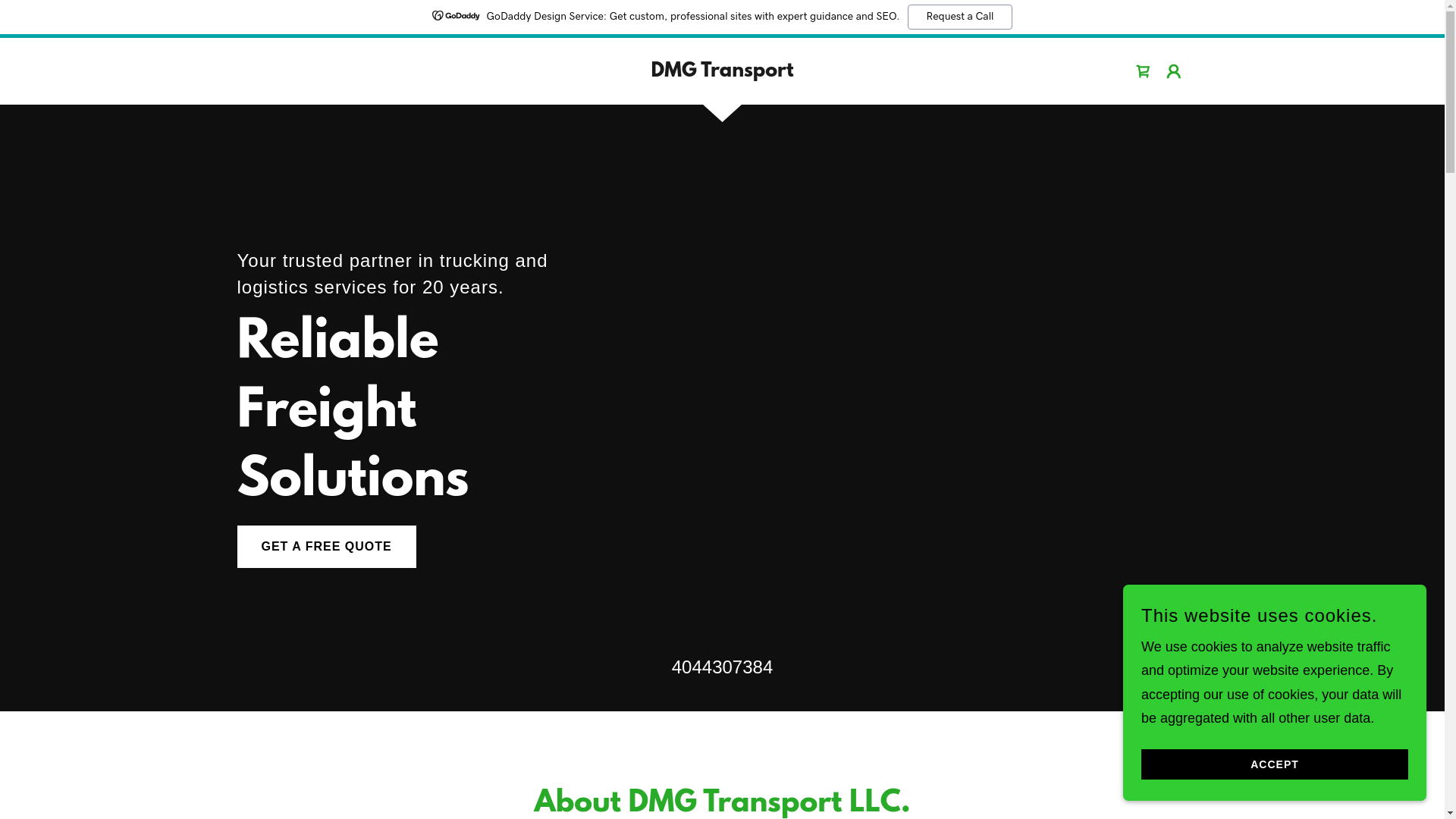 website screenshot of https://dmgtransportllc.com/