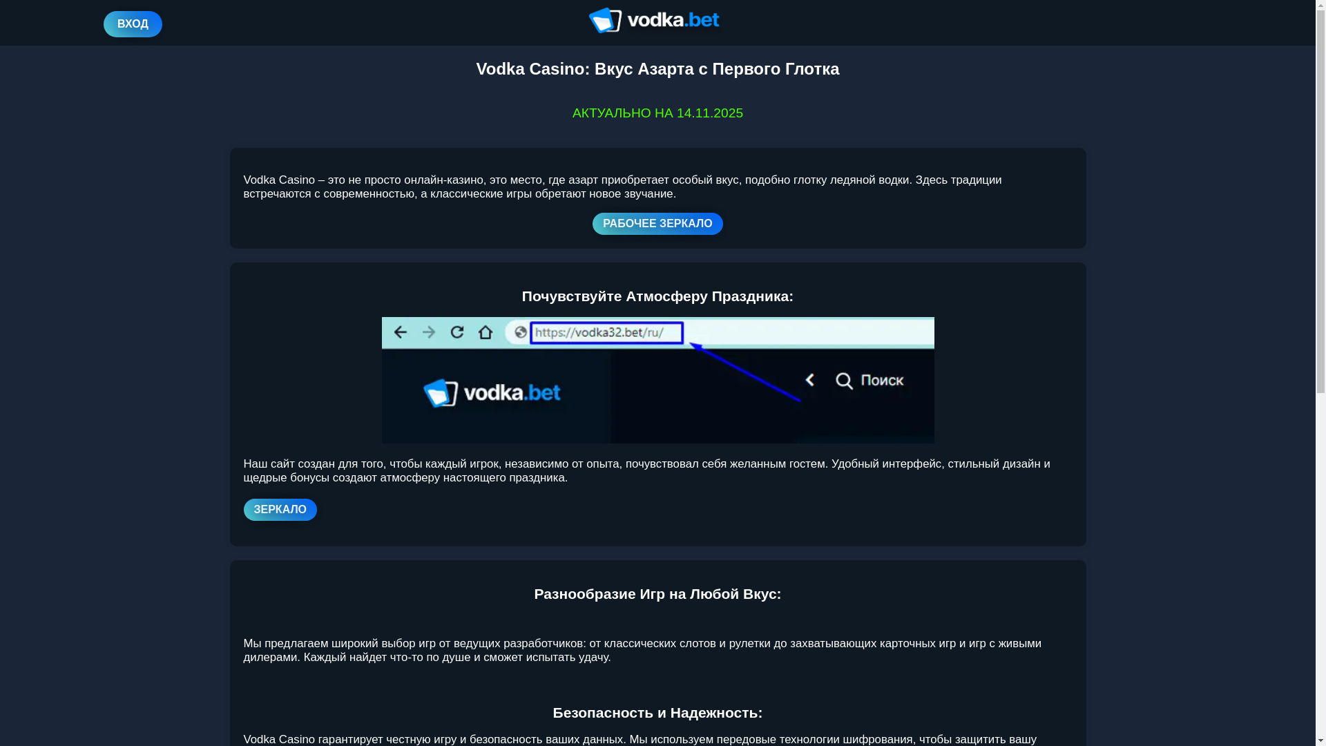 website screenshot of https://vodkaa1.casino/