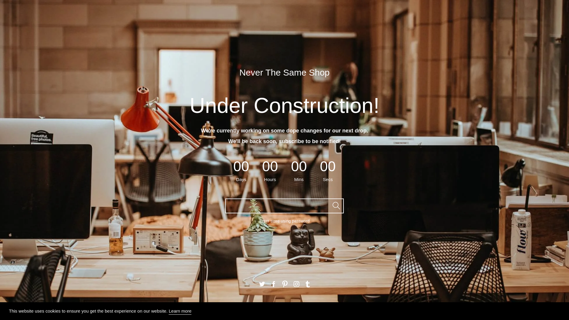 website screenshot of https://neverthesameshop.com/