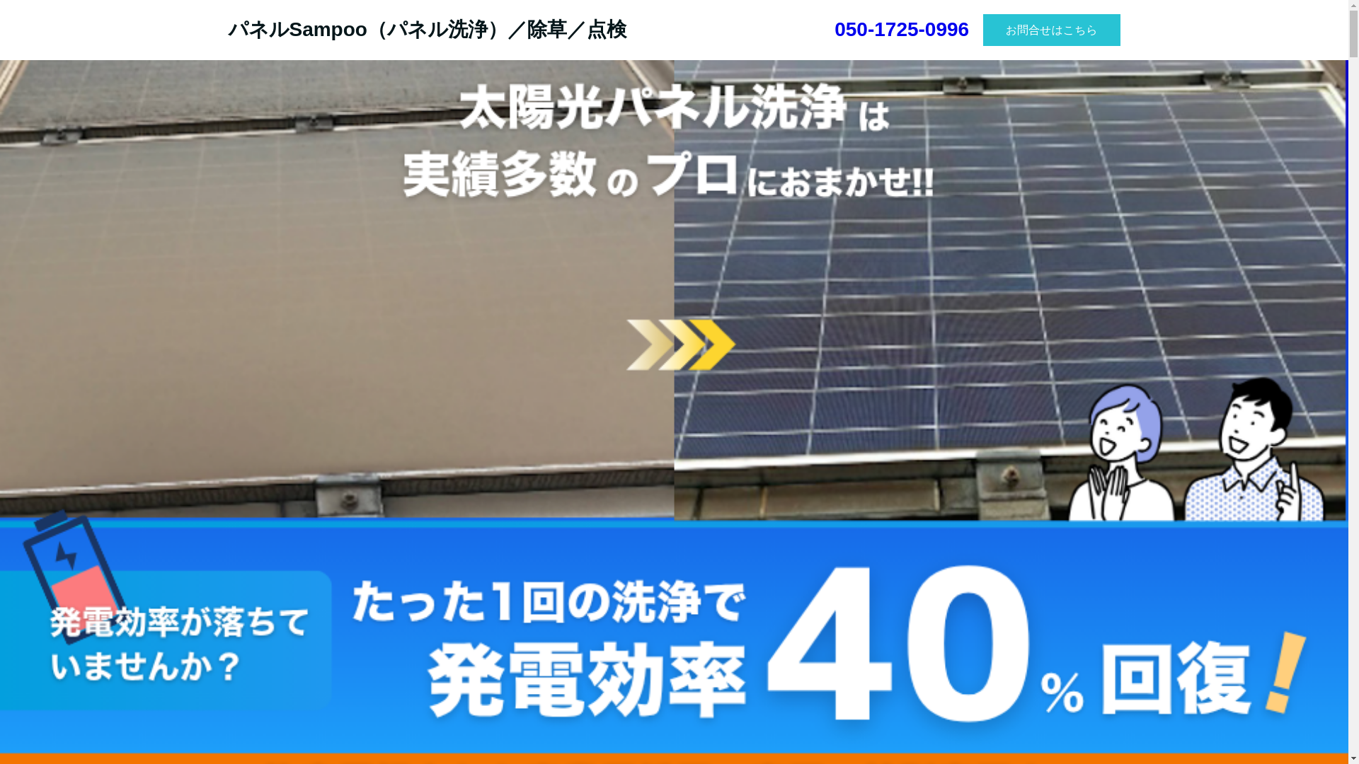 website screenshot of https://p-shampoo.biz/