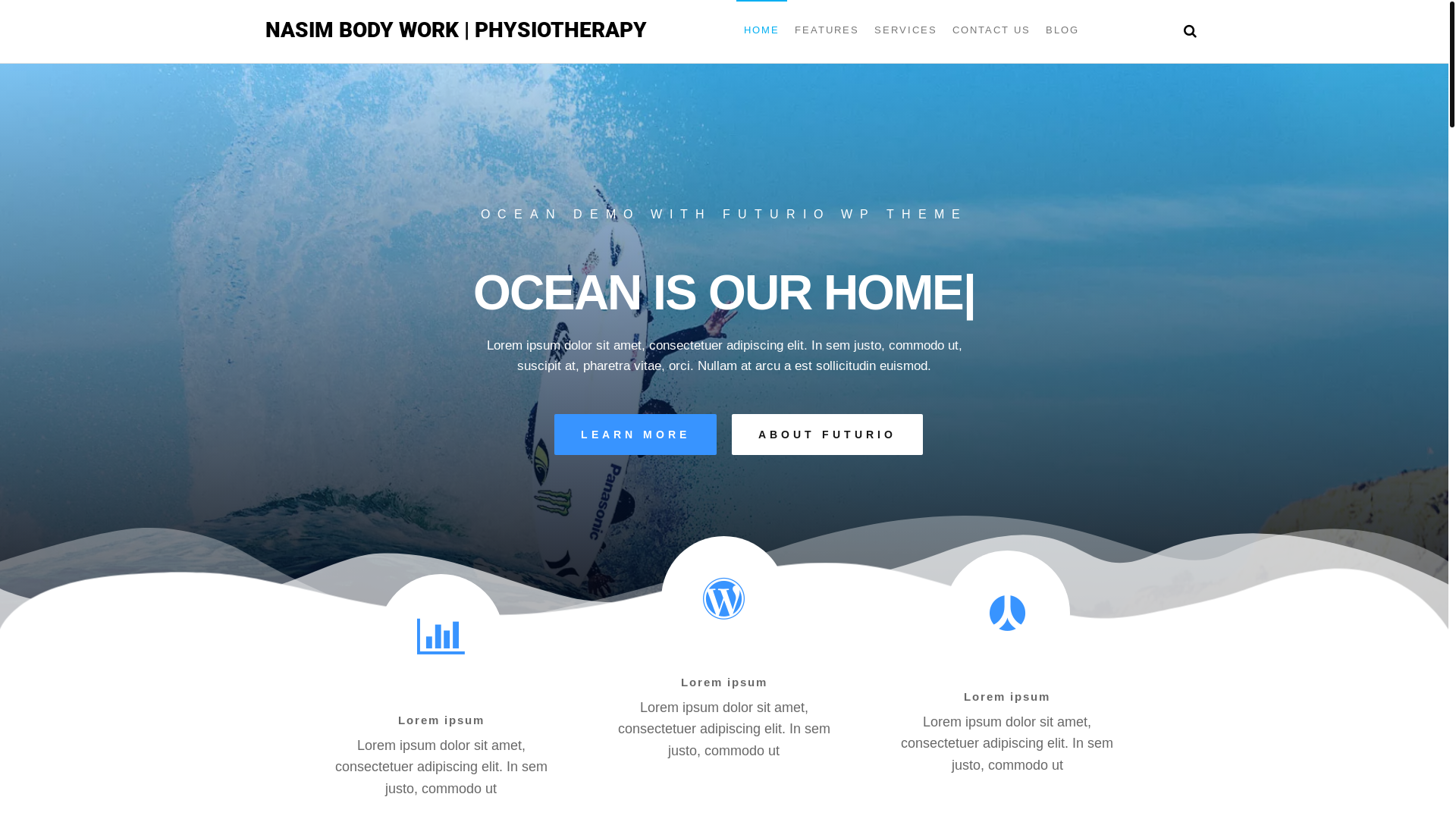 website screenshot of https://nasimbodywork.com/