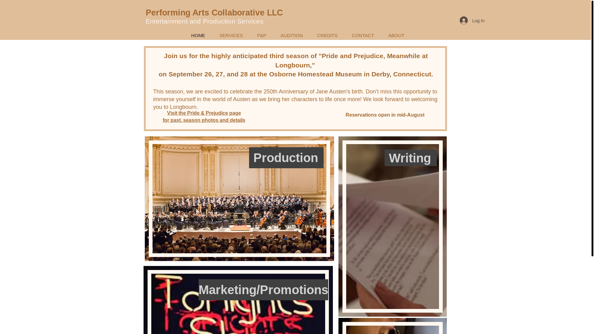 website screenshot of https://a-novel-experience.org/
