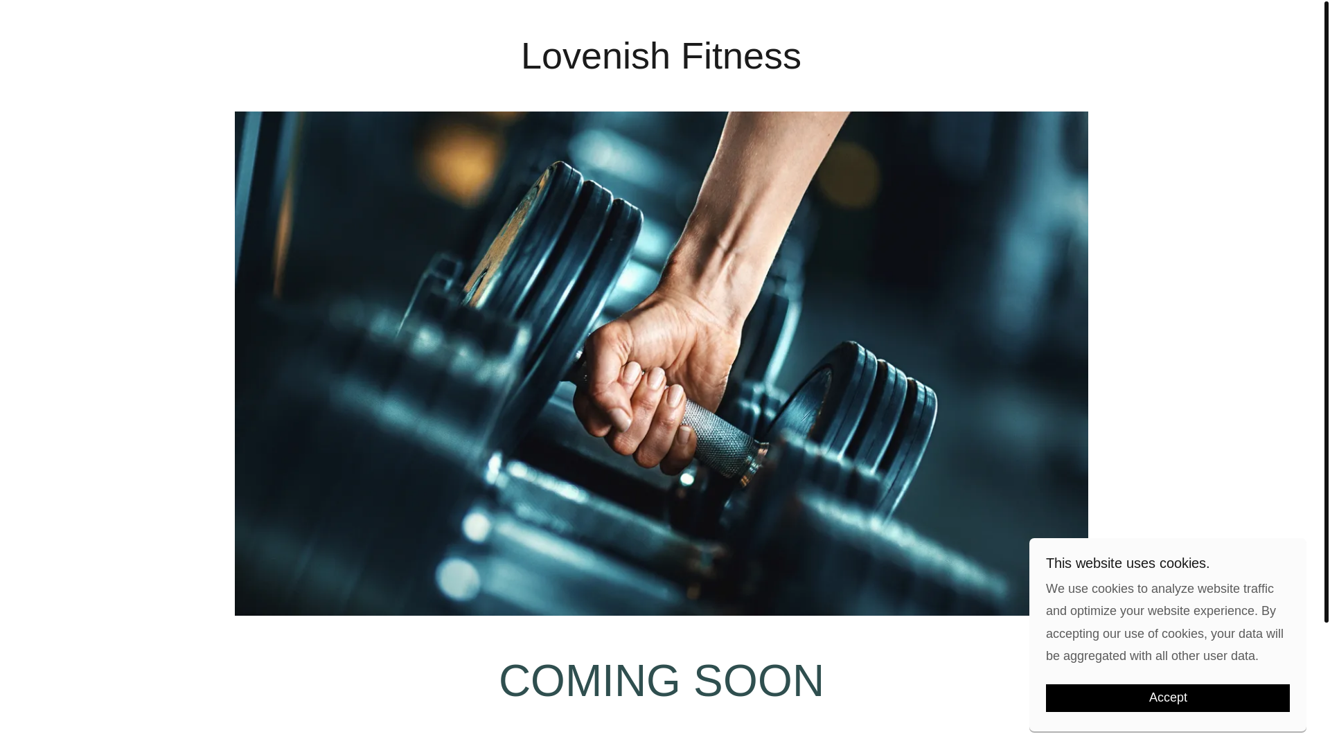 website screenshot of https://lovenishfitness.in/