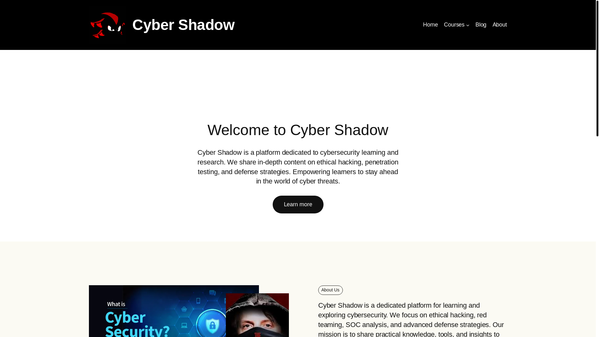 website screenshot of https://cybershadow.in/