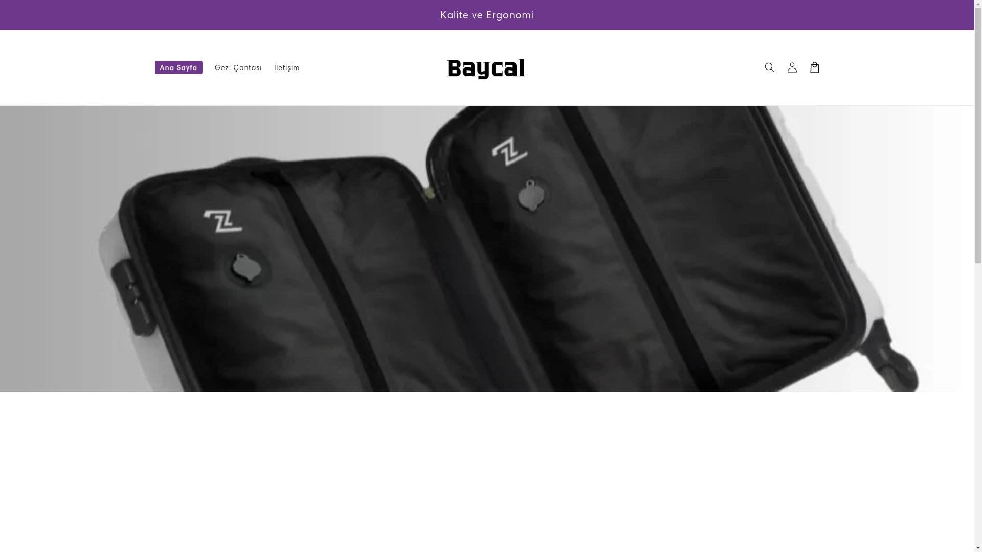 website screenshot of https://baycalproduct.com/