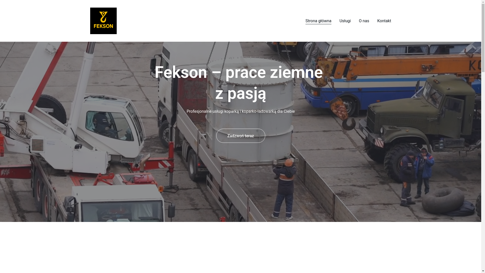 website screenshot of https://fekson.pl/