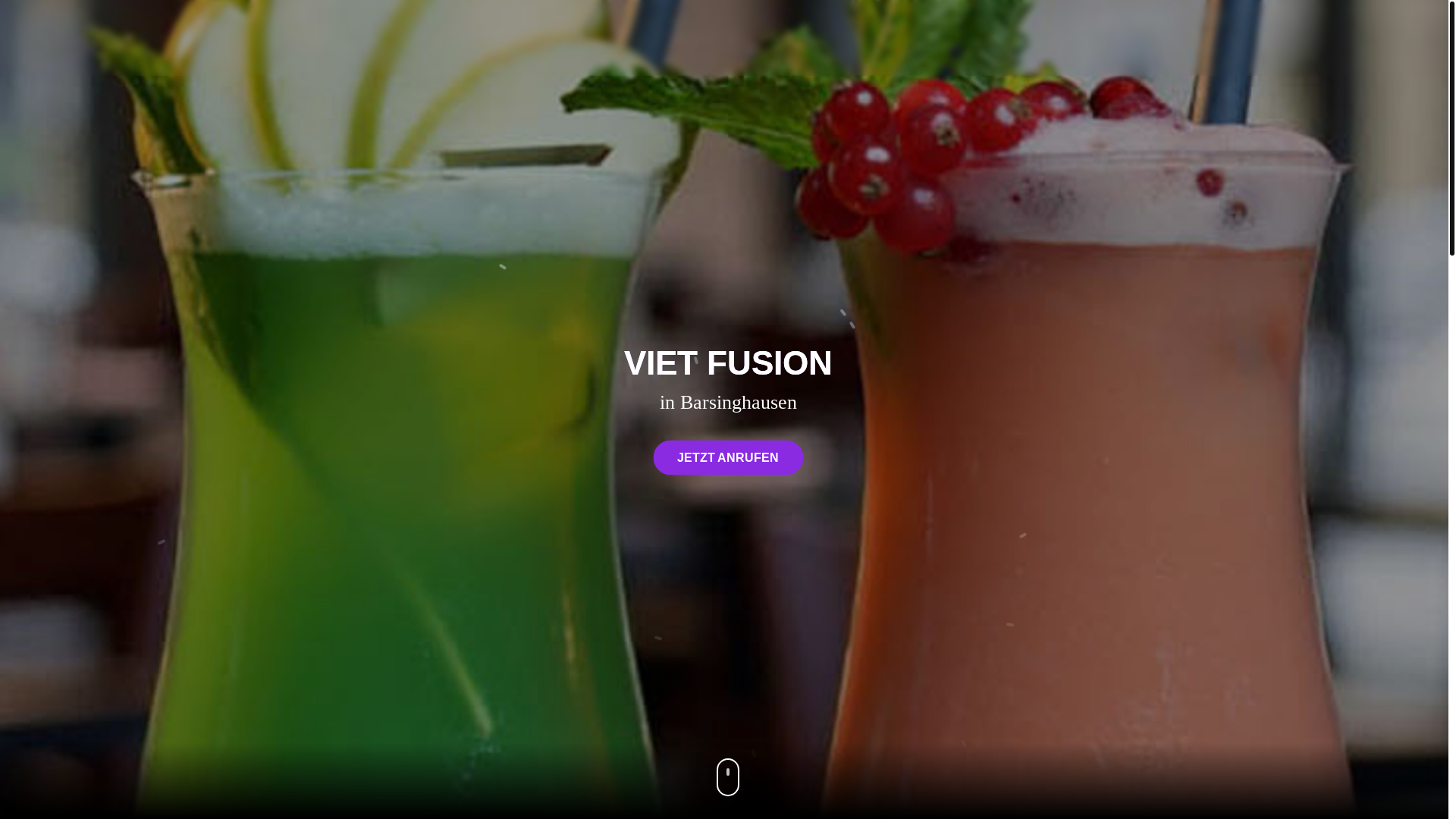 website screenshot of https://vietdelight.de/