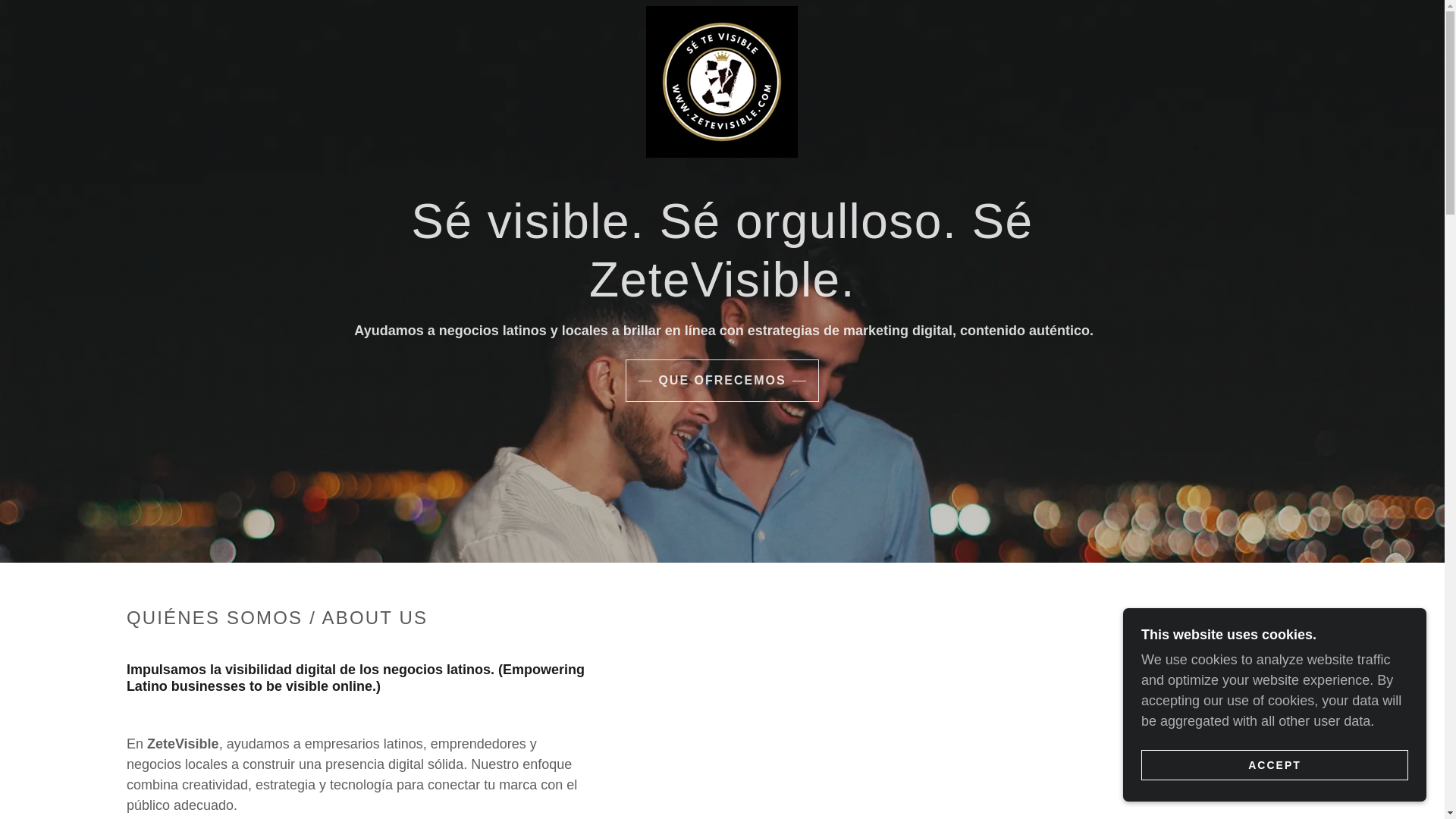 website screenshot of https://zetevisible.com/