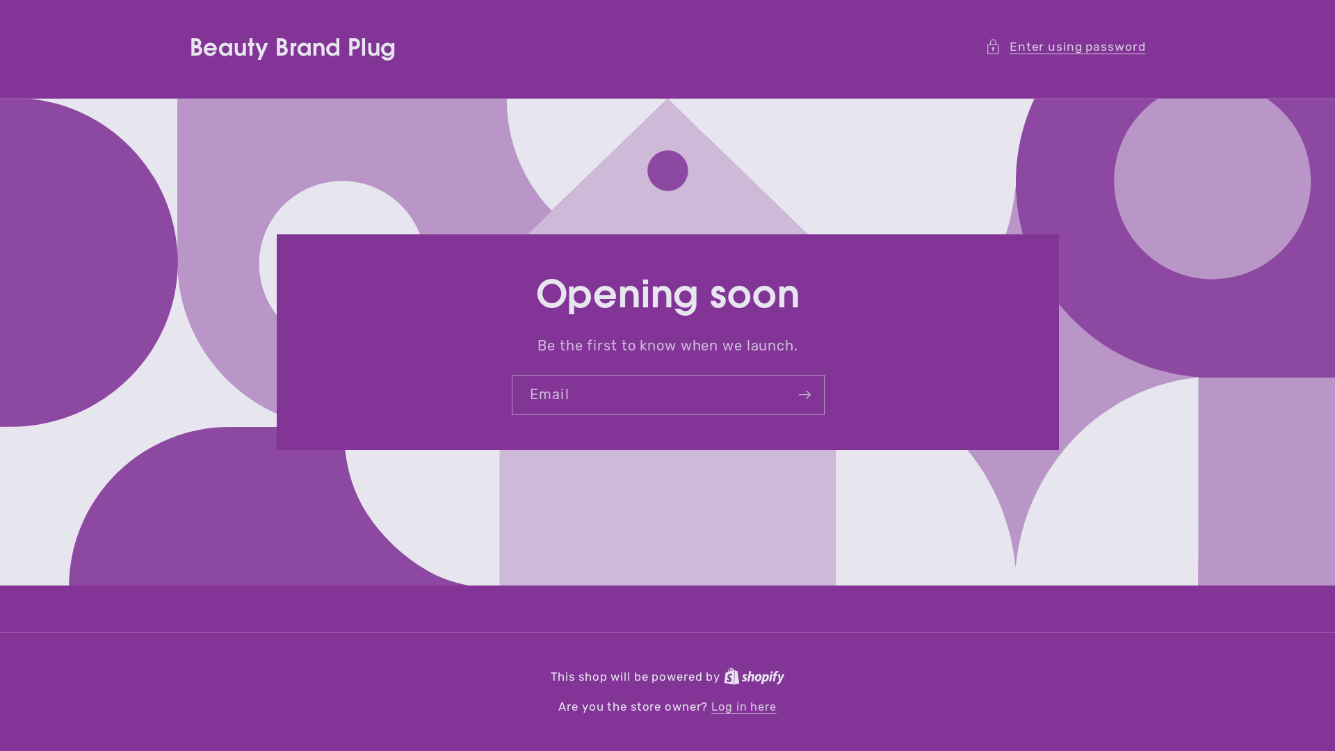 website screenshot of https://beautybrandplug.store/