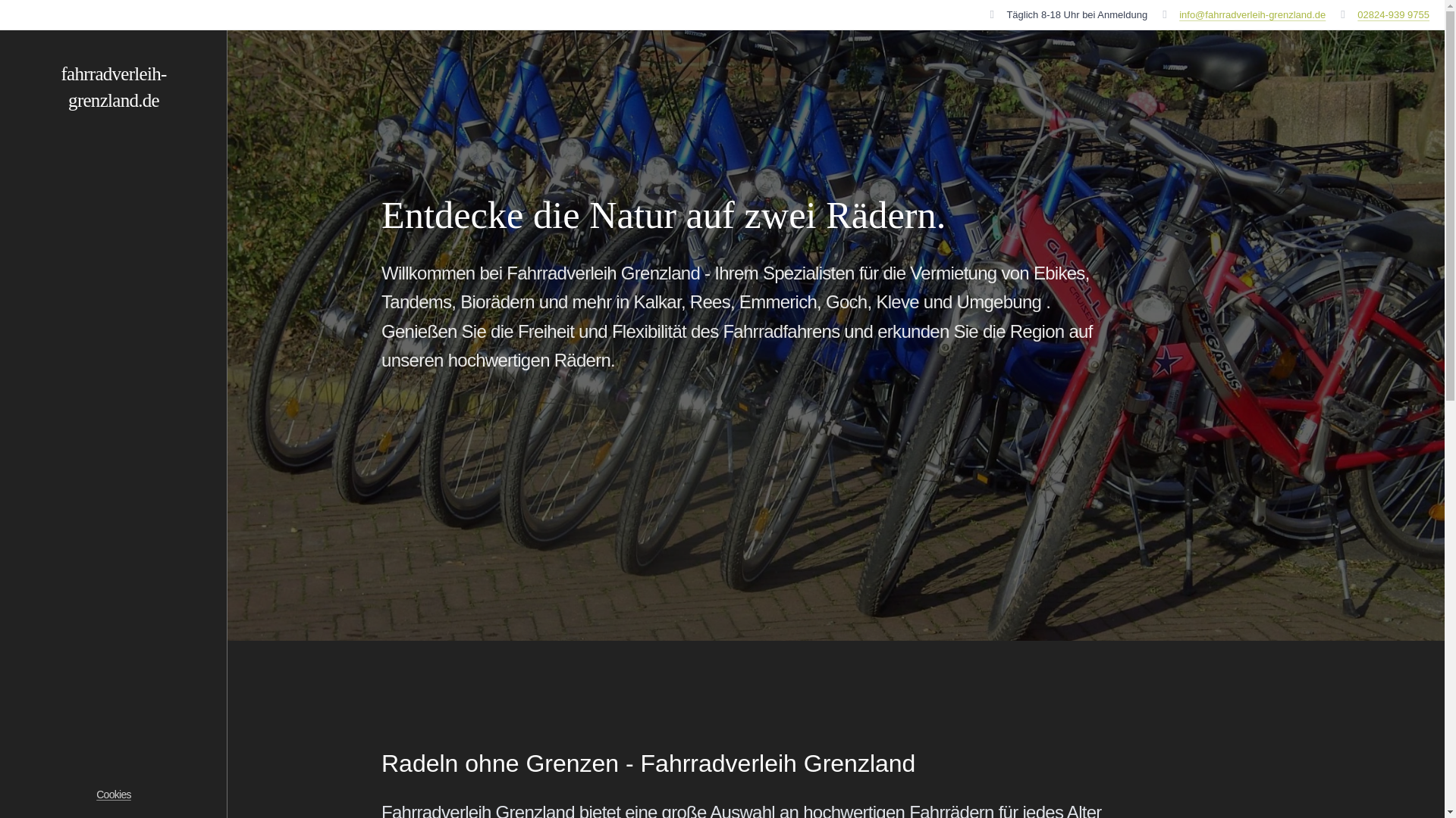 website screenshot of https://fahrradverleih-grenzland.de/