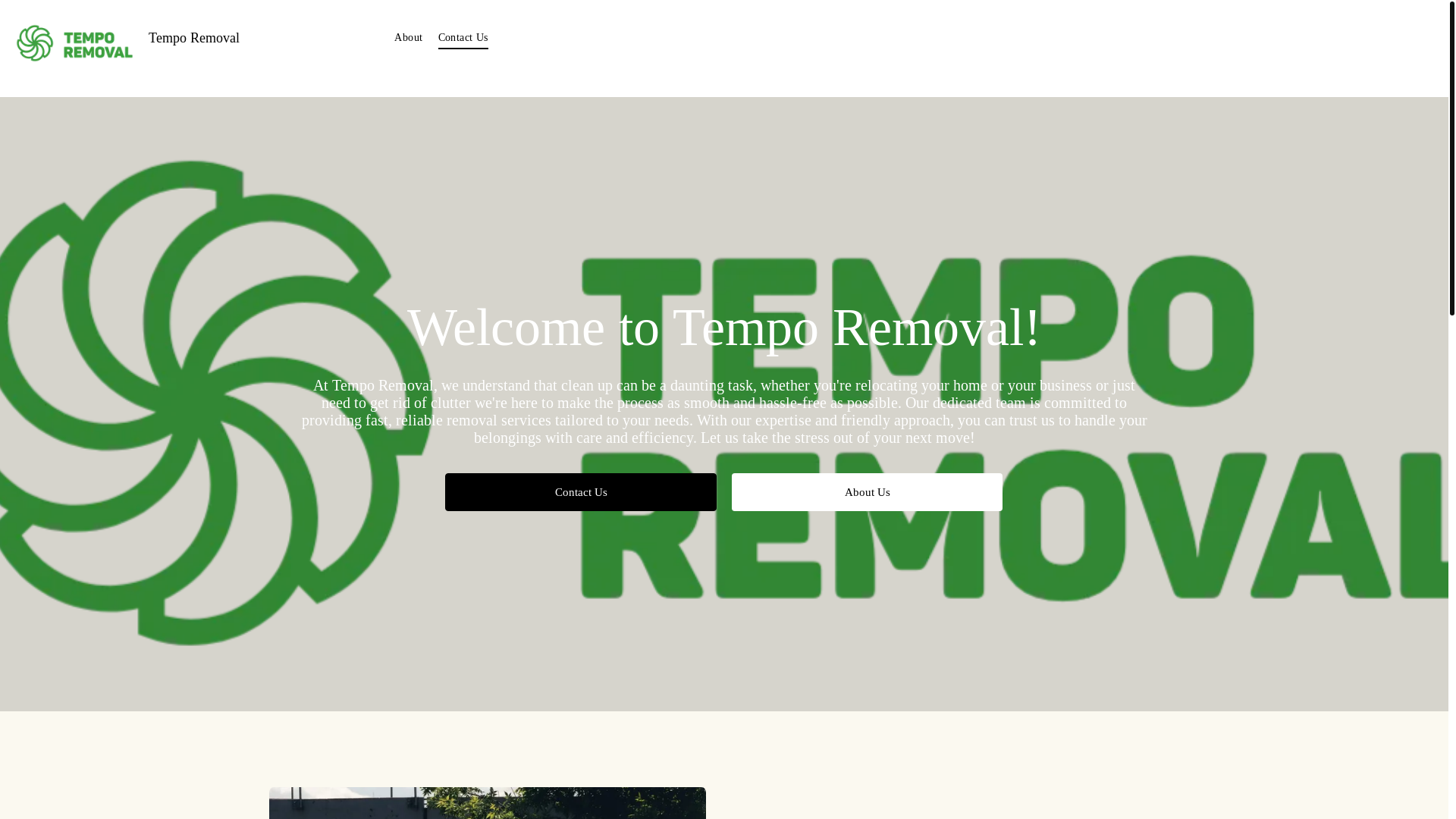 website screenshot of https://temporemoval.com/