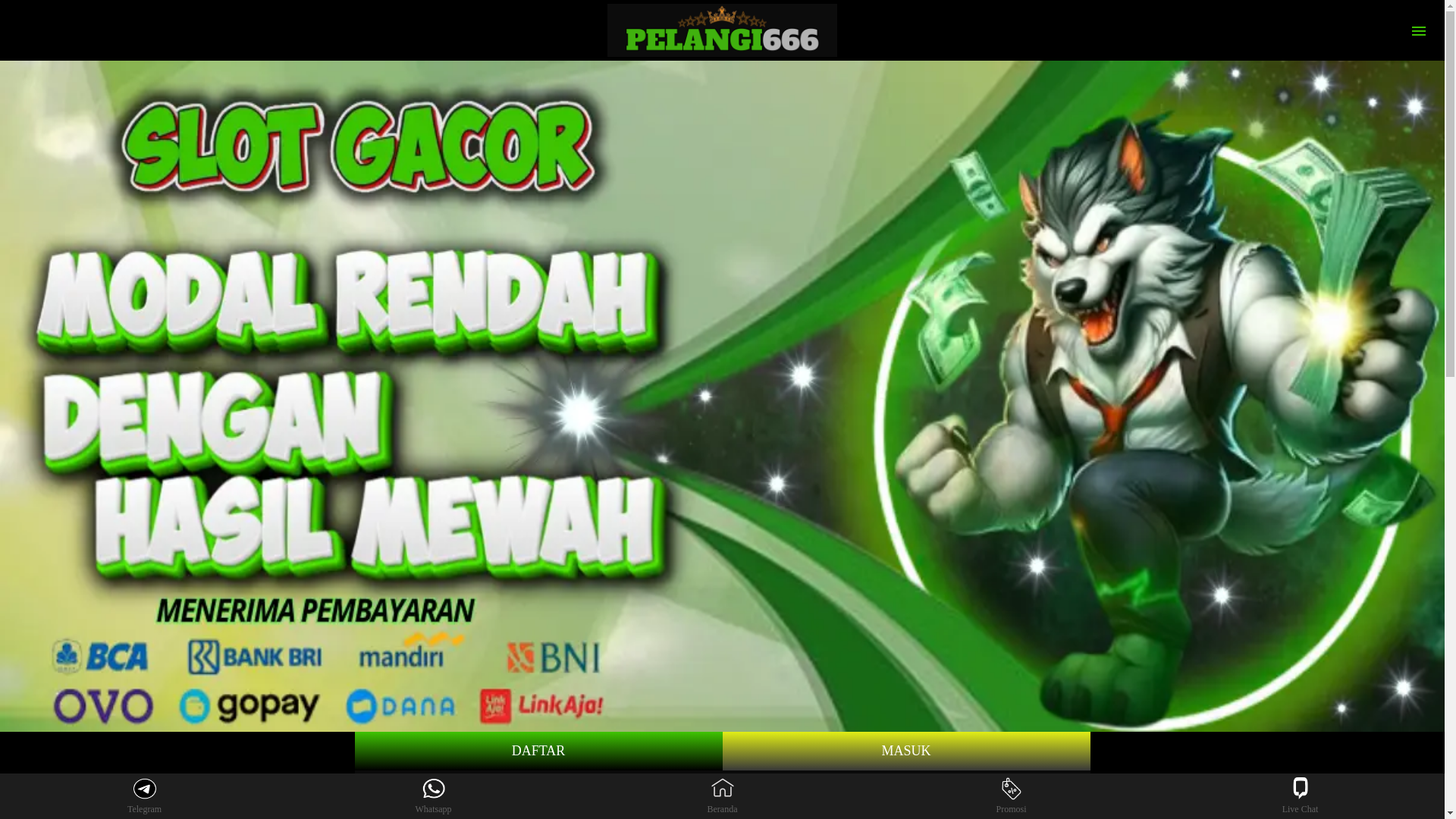website screenshot of https://pelangi666.net/