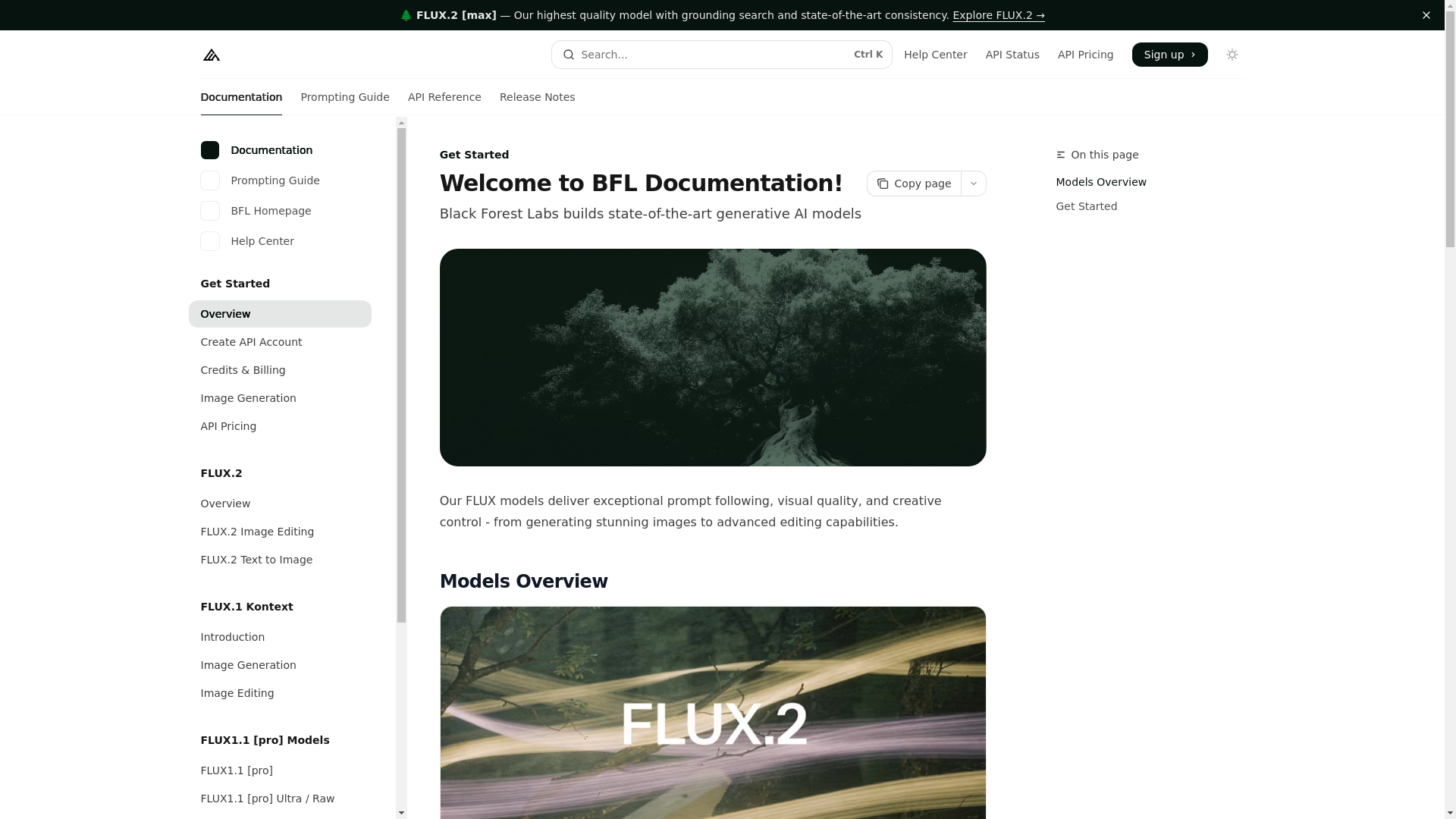 website screenshot of https://docs.bfl.ai