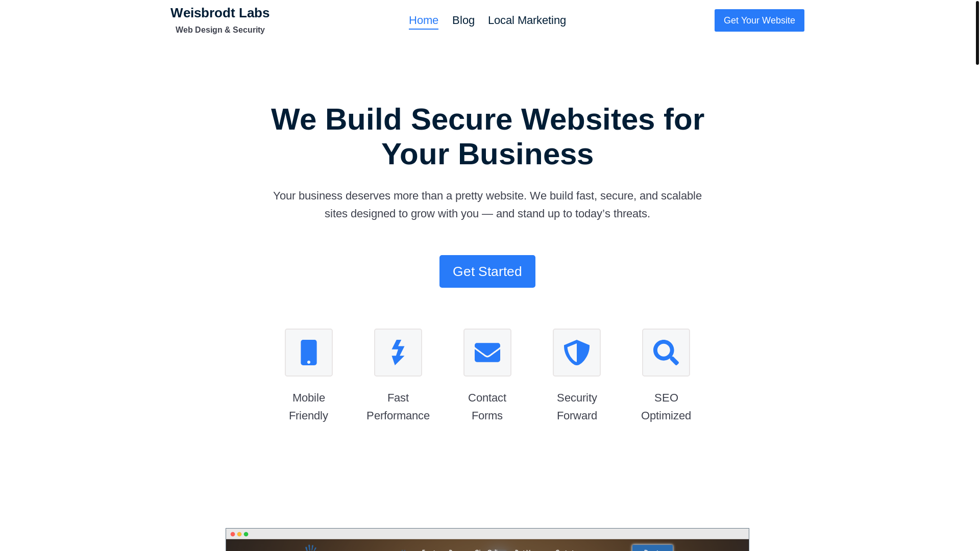 website screenshot of https://weisbrodtlabs.com/