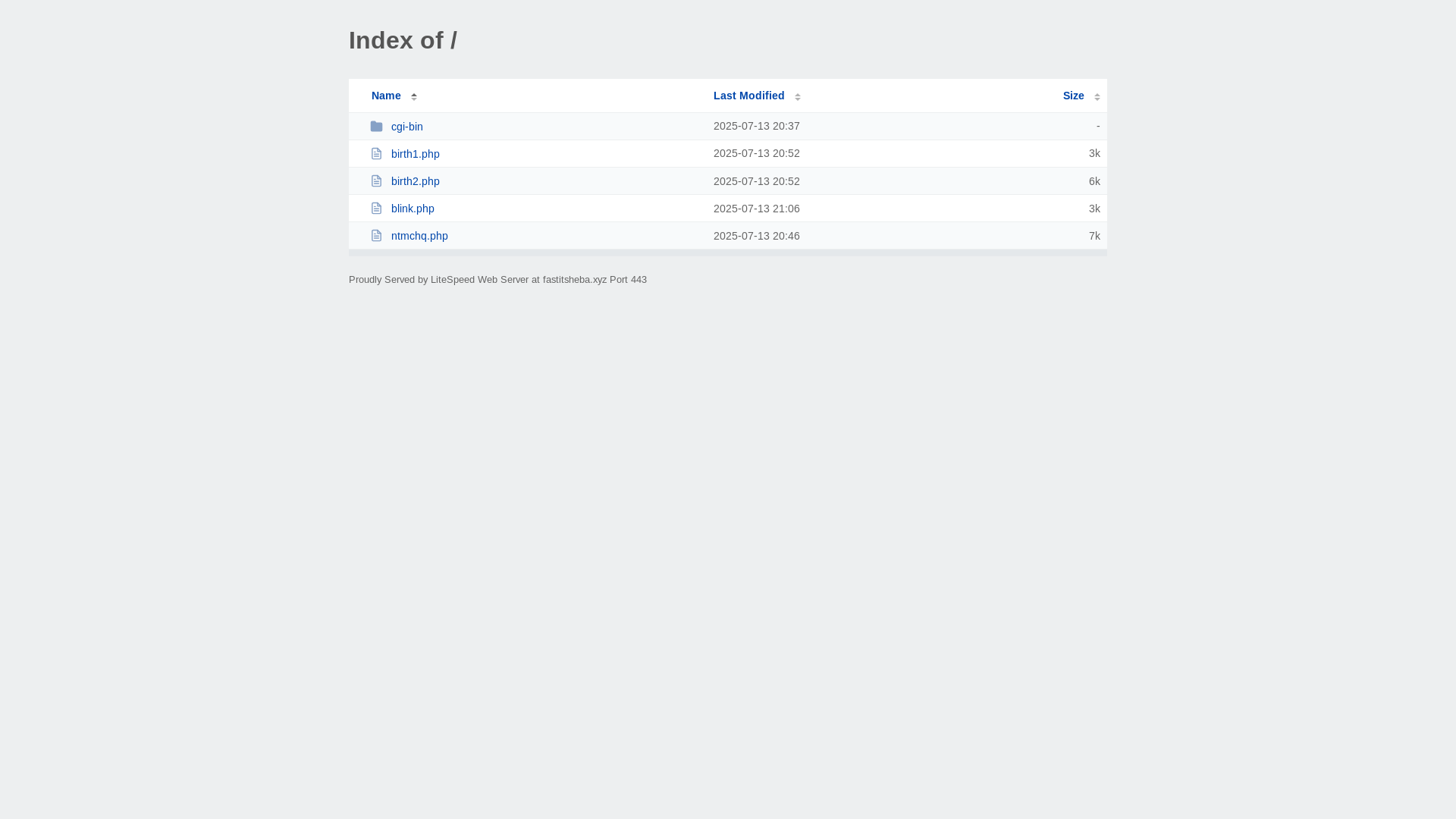website screenshot of https://fastitsheba.xyz/