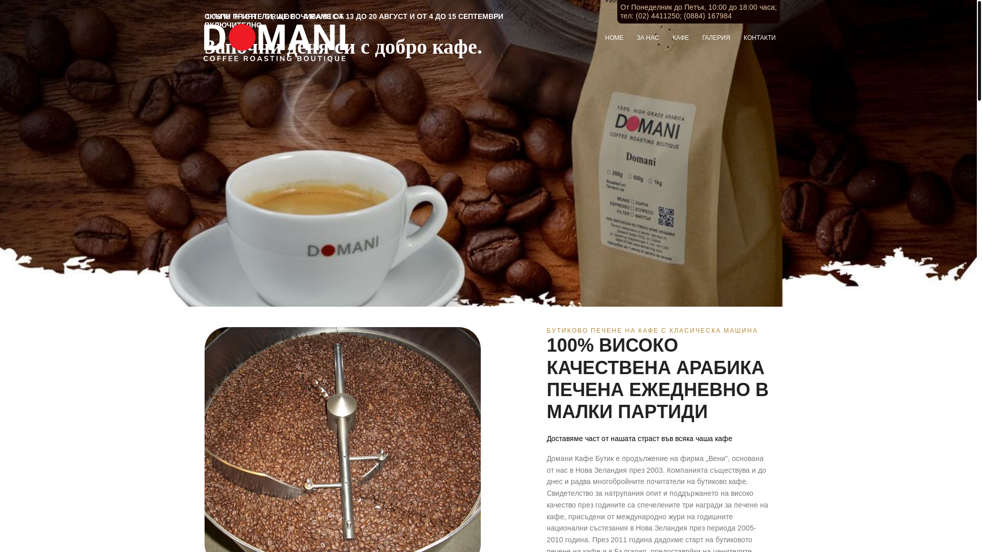 website screenshot of https://domani.pages.dev/