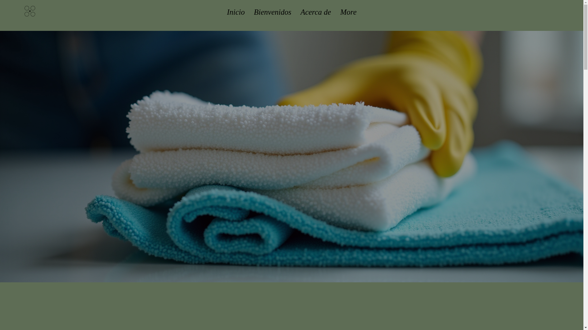 website screenshot of https://lzcleaning.com/