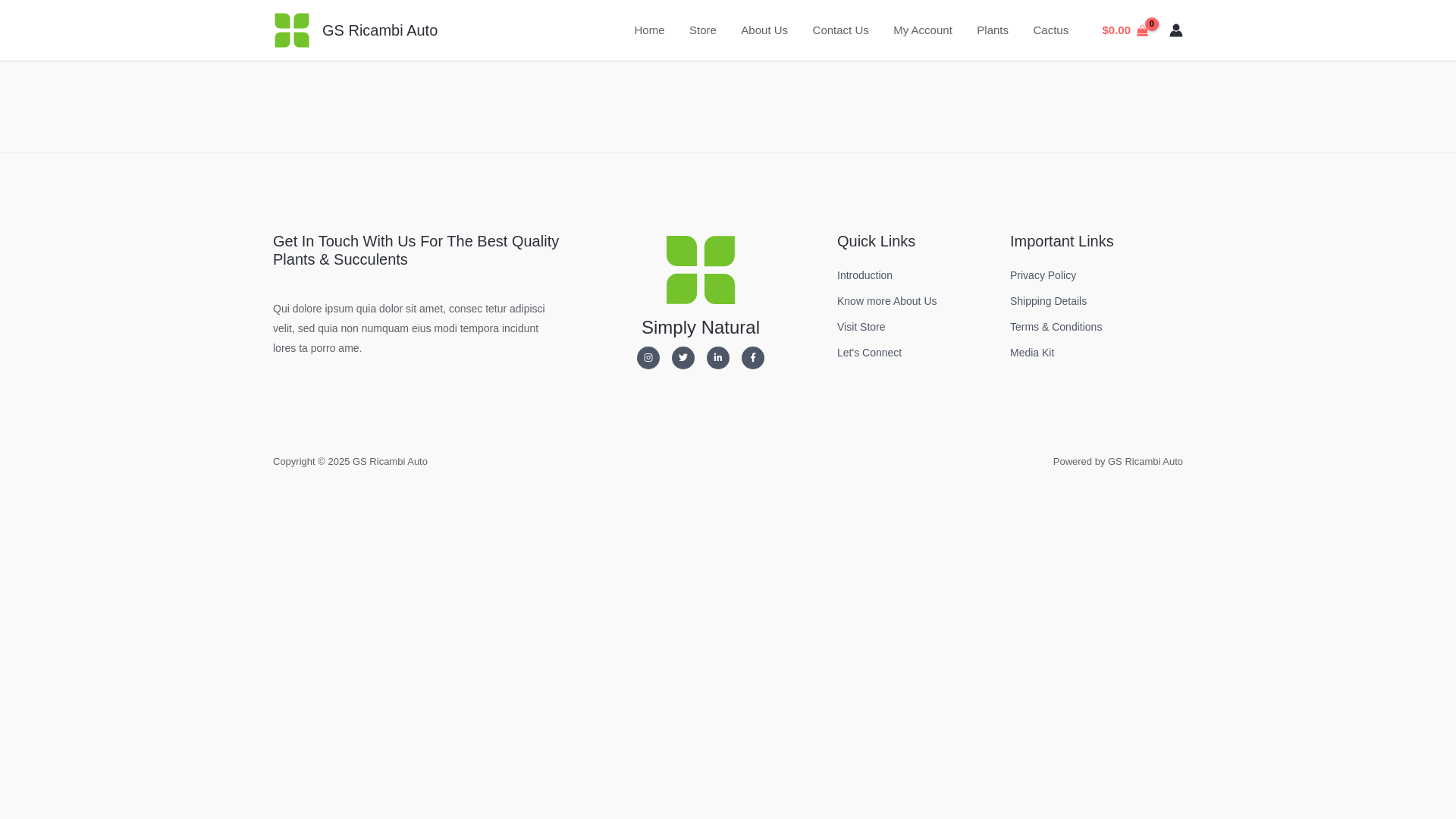 website screenshot of https://gsricambiauto.it/