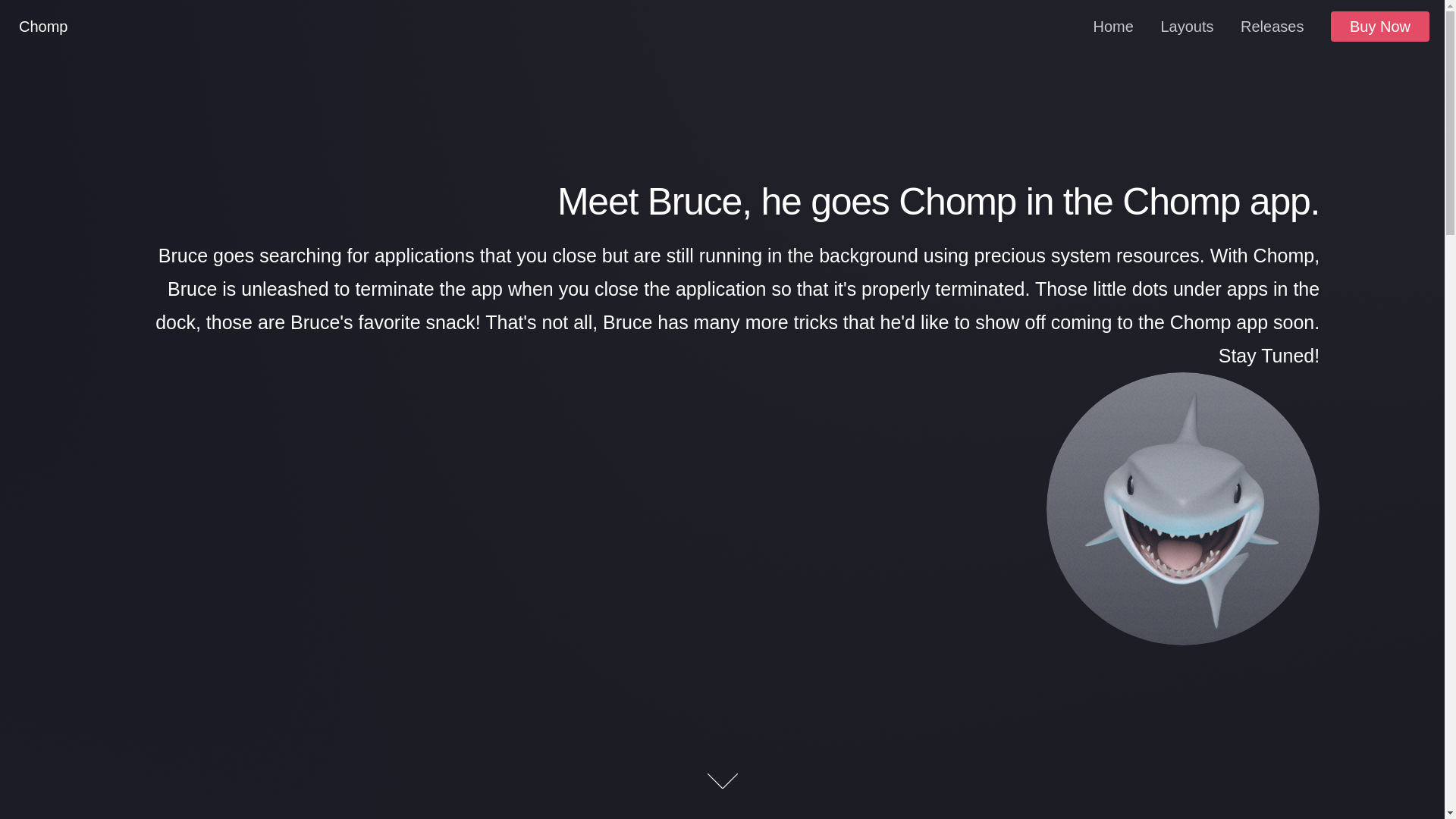 website screenshot of https://brucegoeschomp.pages.dev/