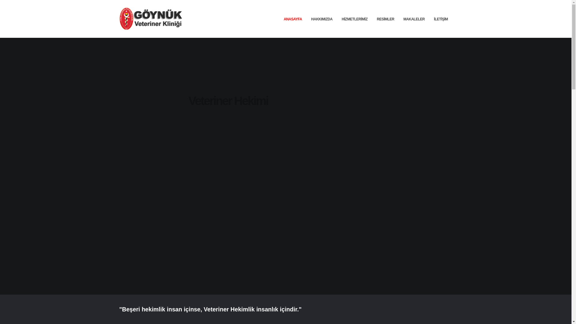 website screenshot of https://goynukveteriner.com.tr/