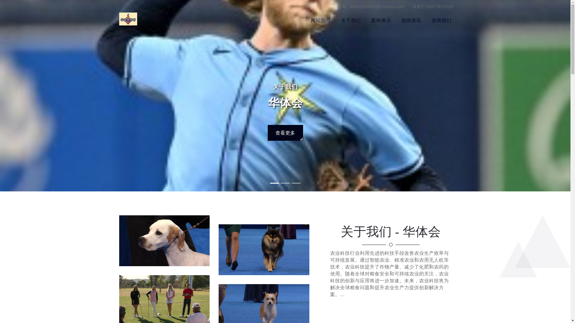 website screenshot of https://zhe-hth-sports.com/