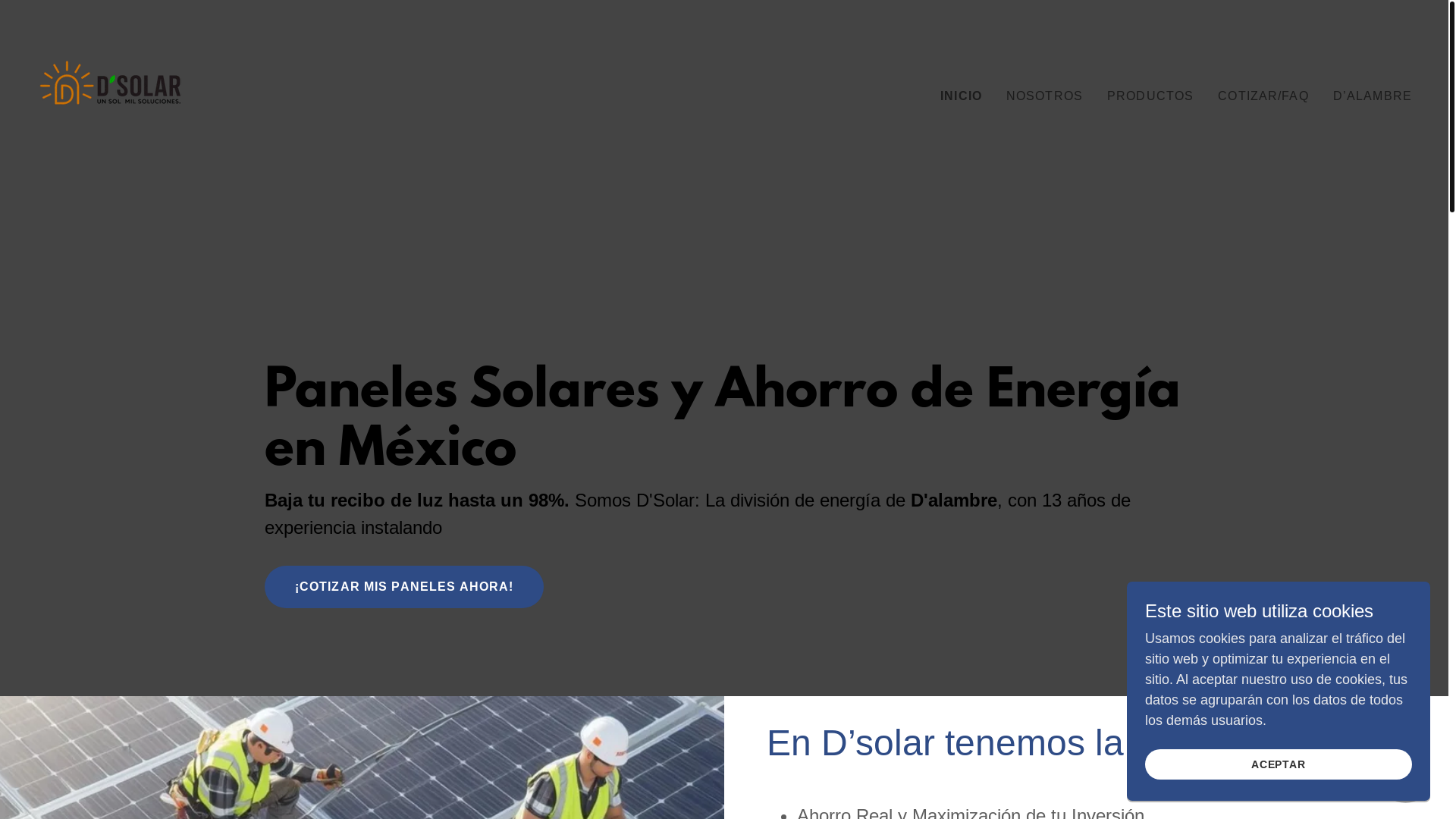 website screenshot of https://dsolarmx.com/