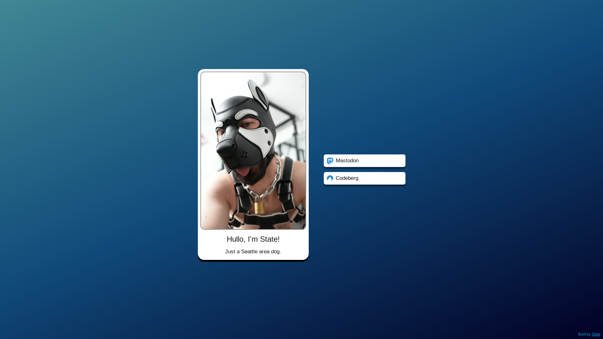 website screenshot of https://statedog.me/