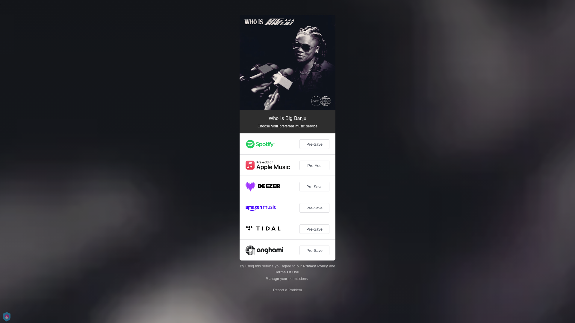 website screenshot of https://bigbanju.com/