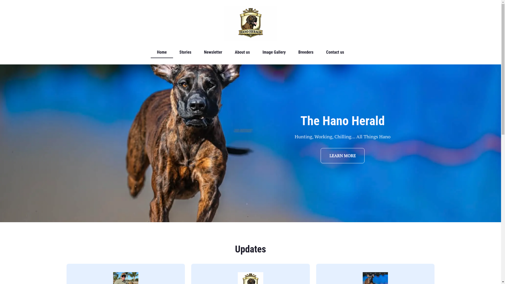 website screenshot of https://hanoherald.com/