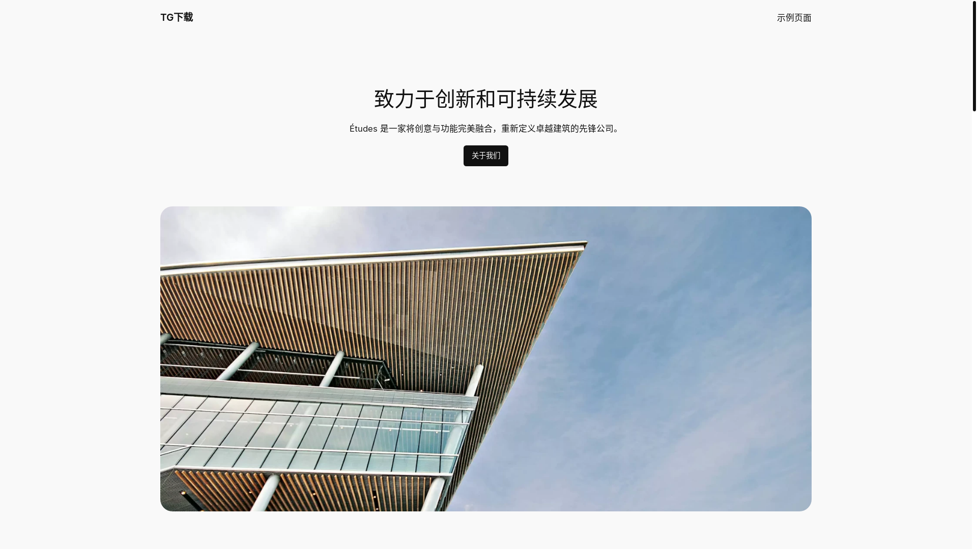 website screenshot of https://telegramchat.com.cn/