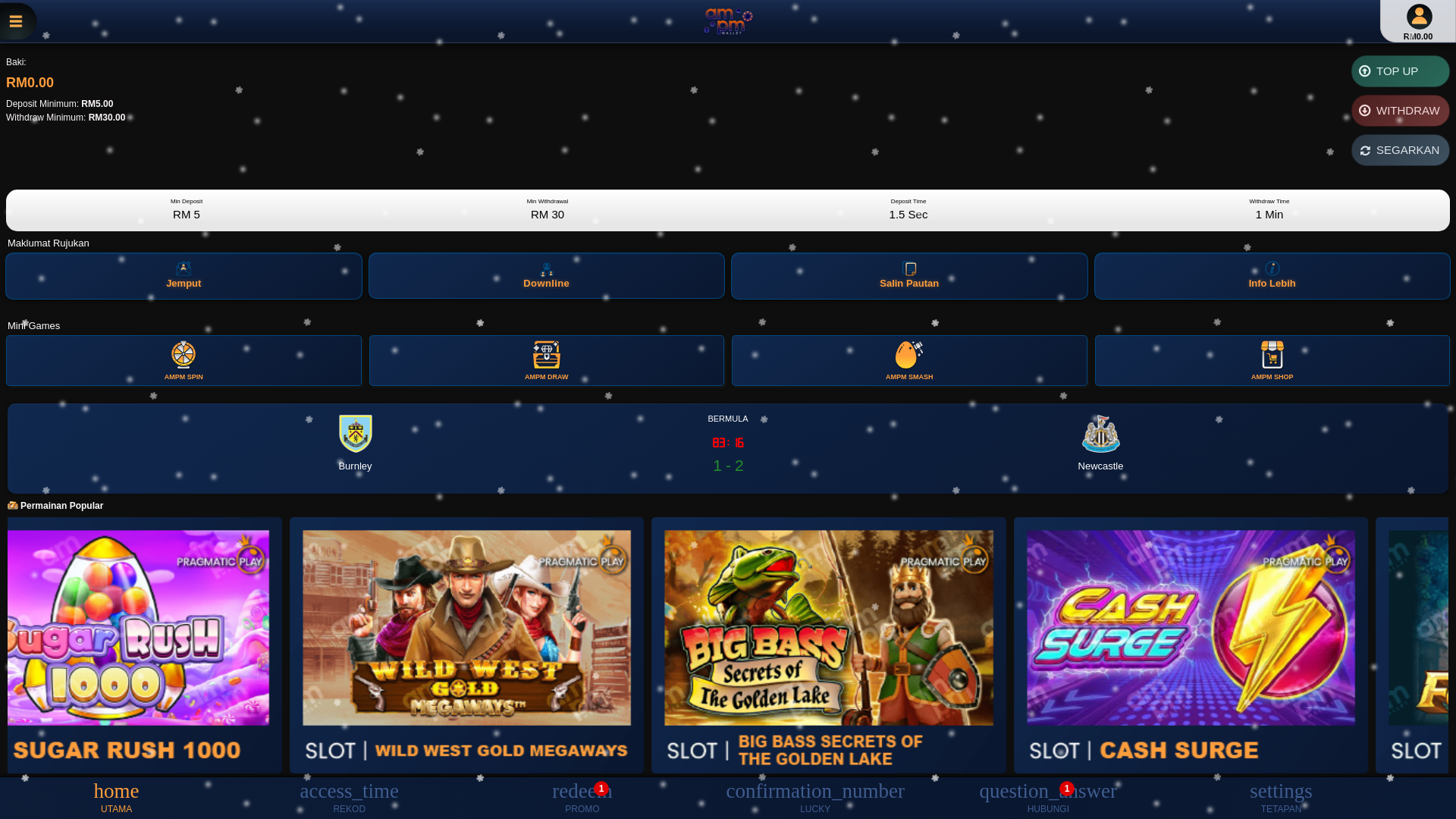 website screenshot of https://ampm24wallet10.com/