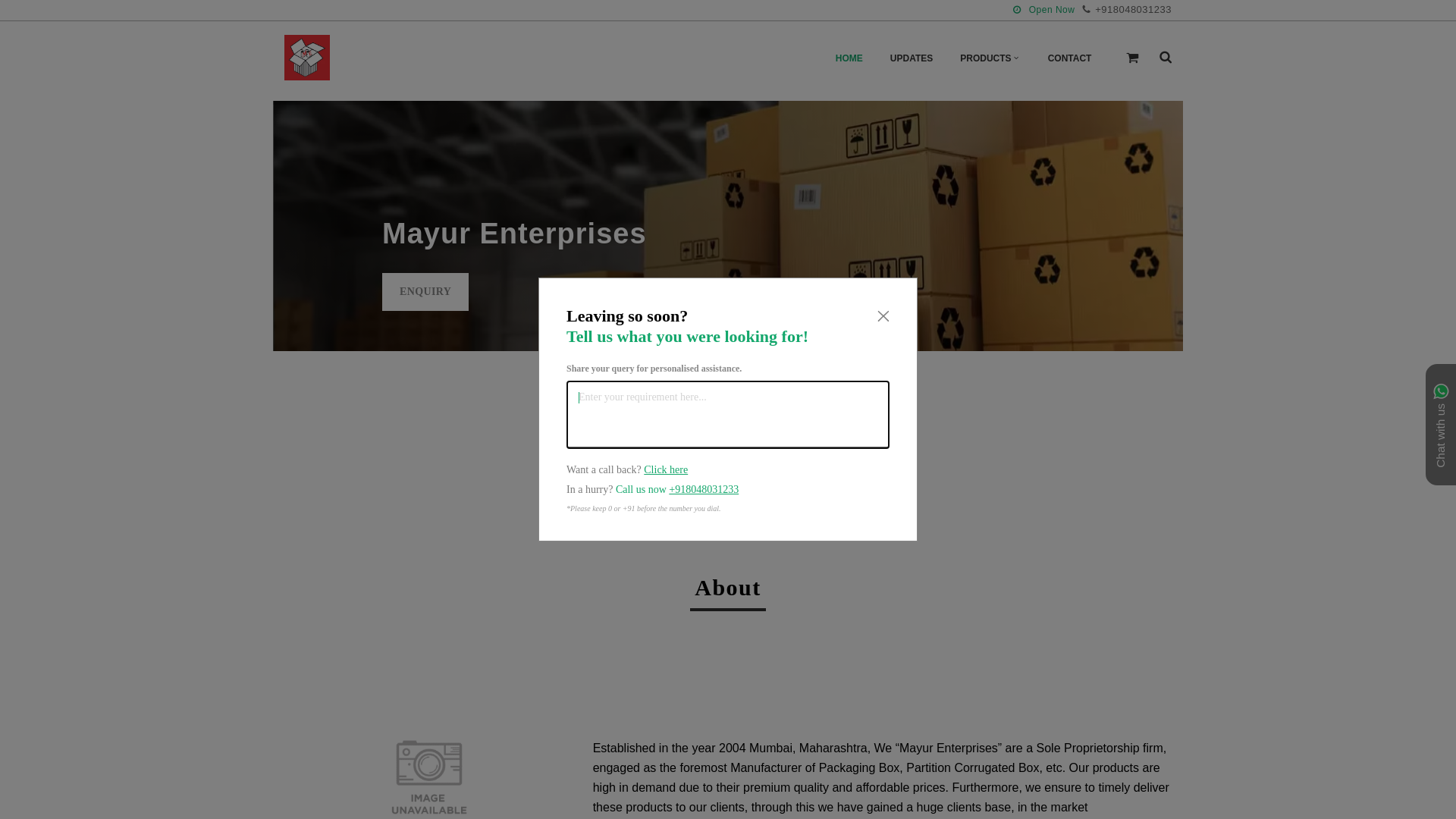 website screenshot of https://mayurent.co.in/