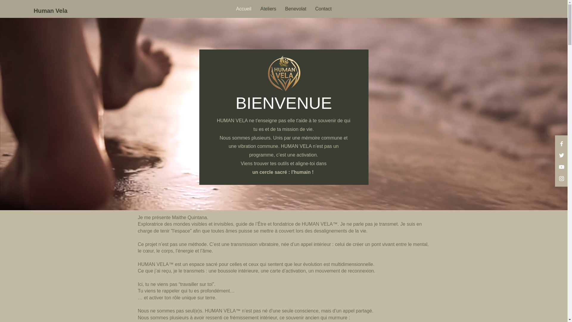website screenshot of https://human-vela.com/