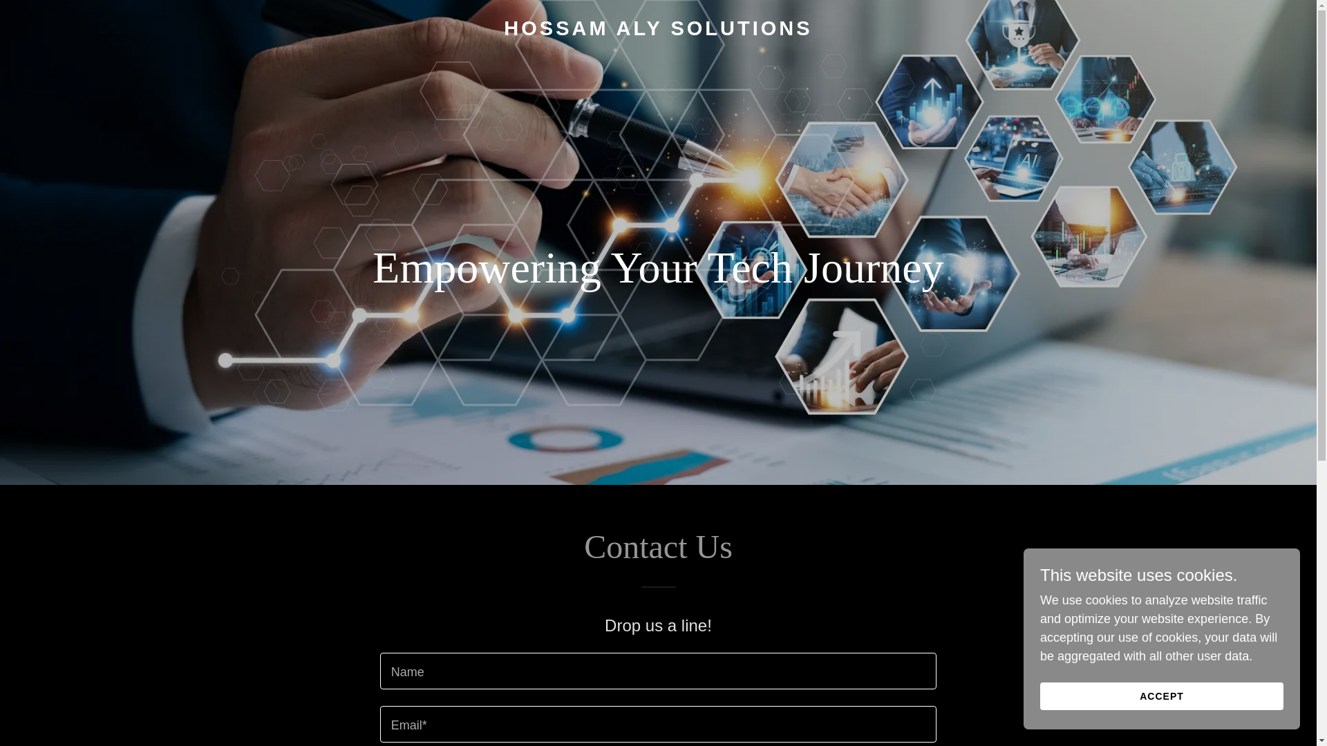 website screenshot of https://hossamaly.solutions/
