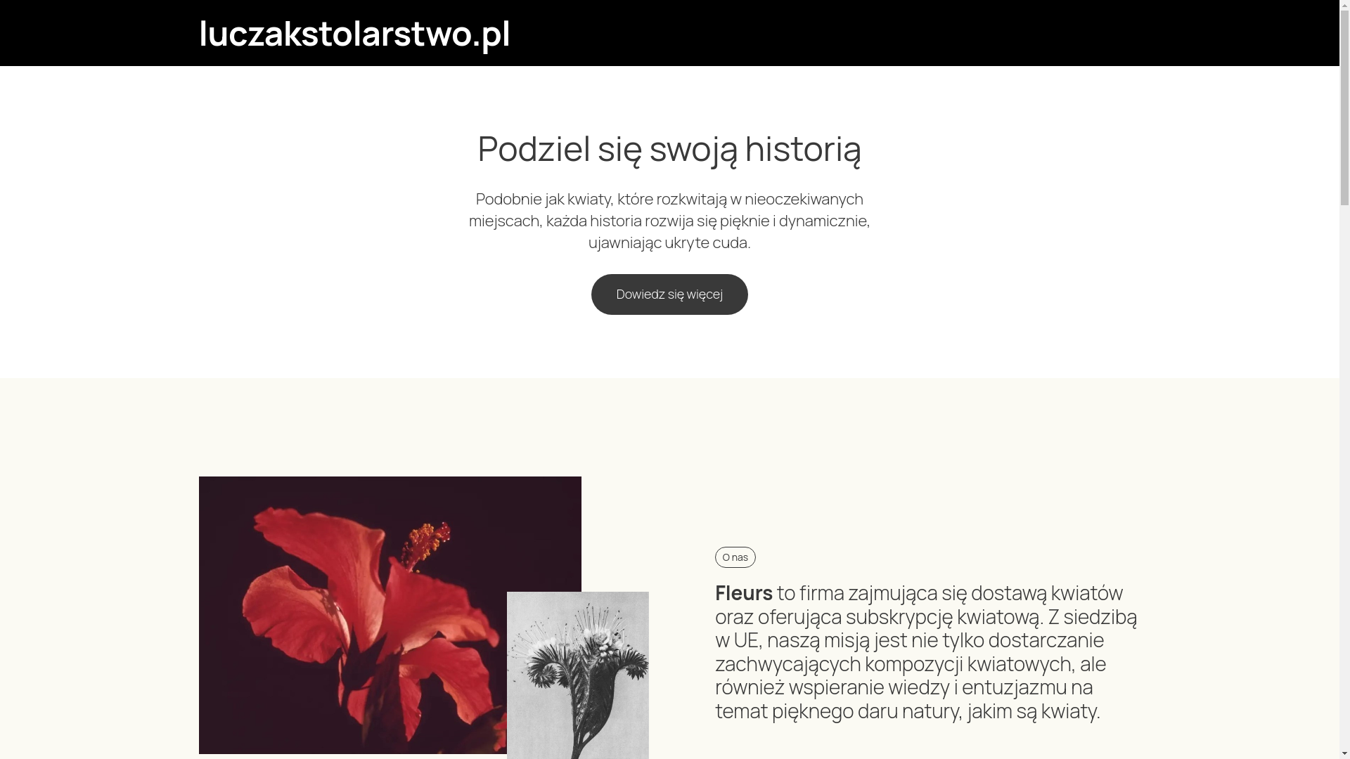 website screenshot of https://luczakstolarstwo.pl/