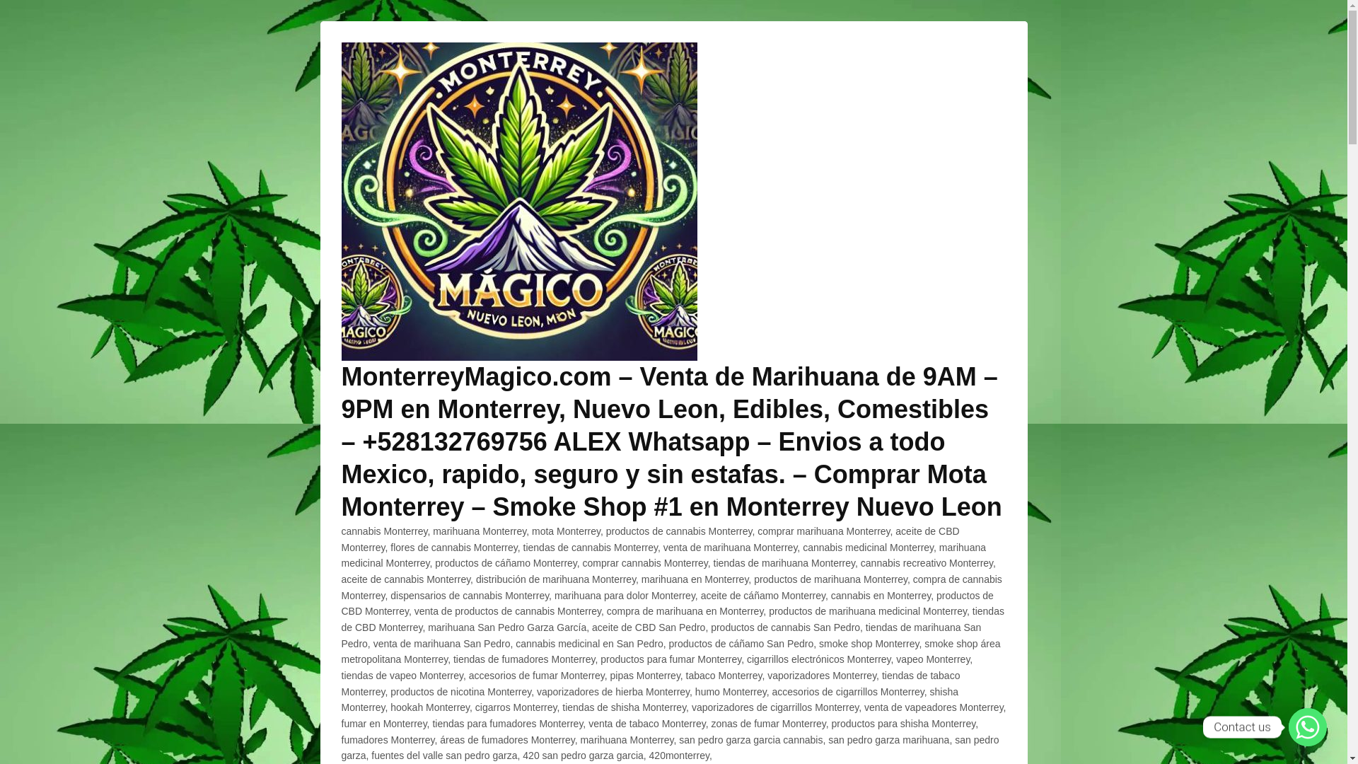 website screenshot of http://www.monterreymagico.com/