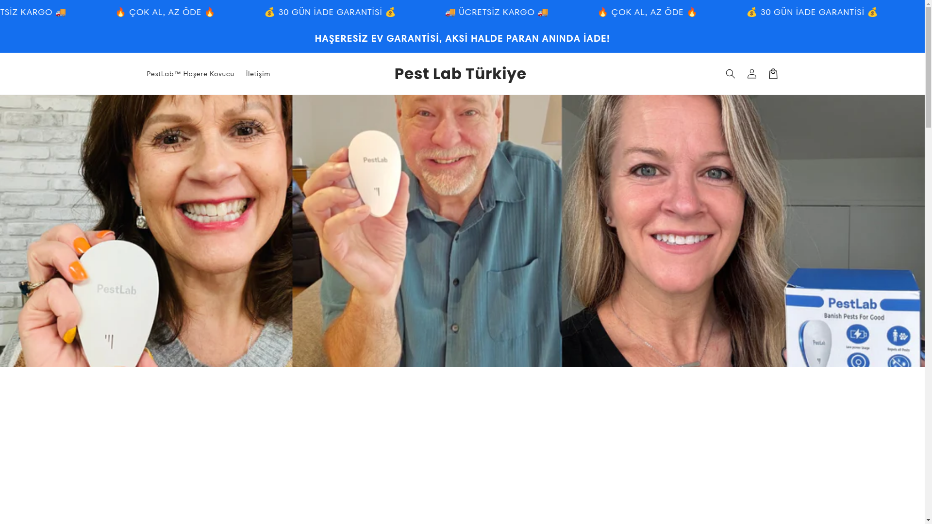 website screenshot of https://pestlabtr.com/