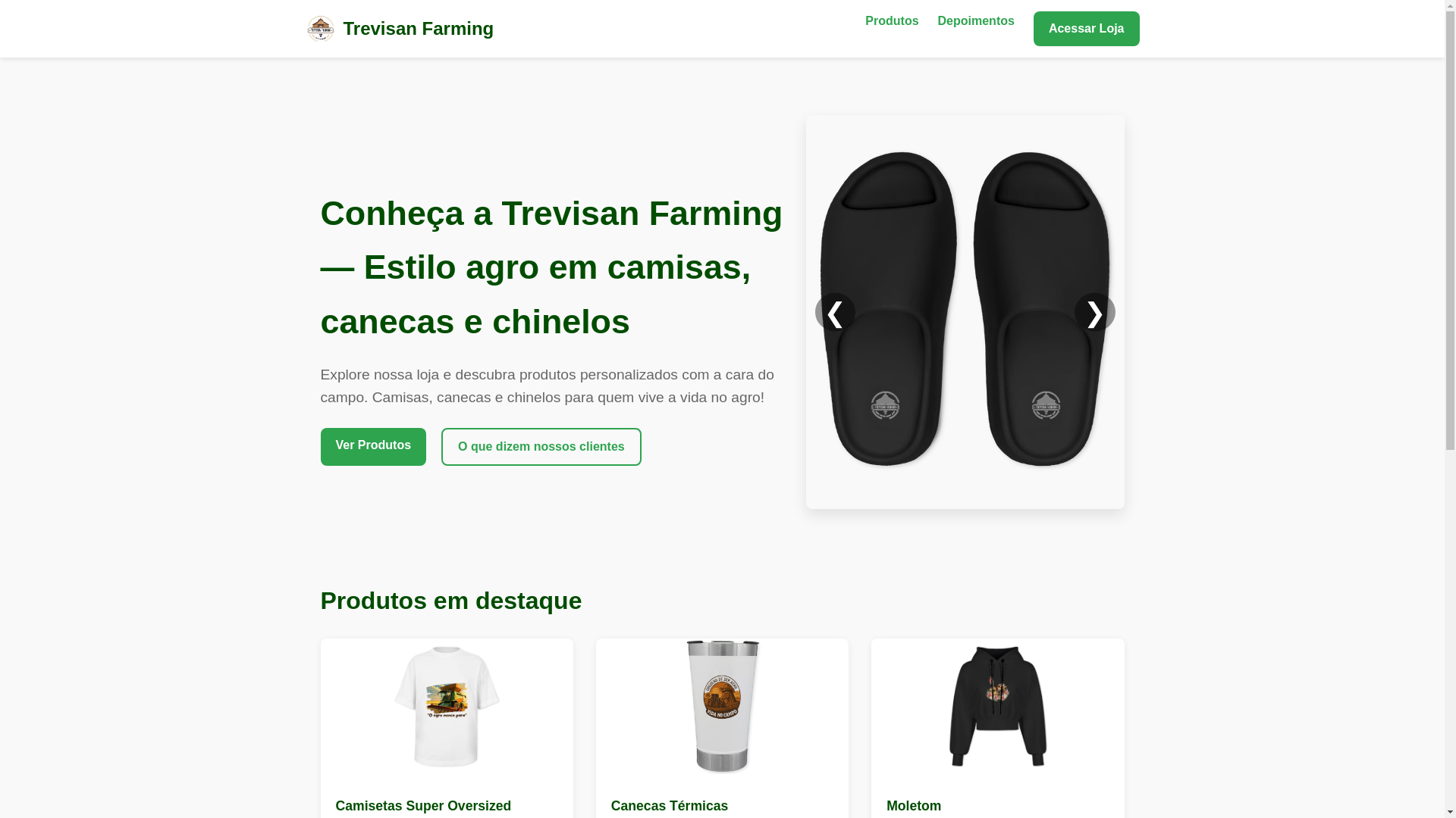 website screenshot of https://trevisanfarming.com.br/