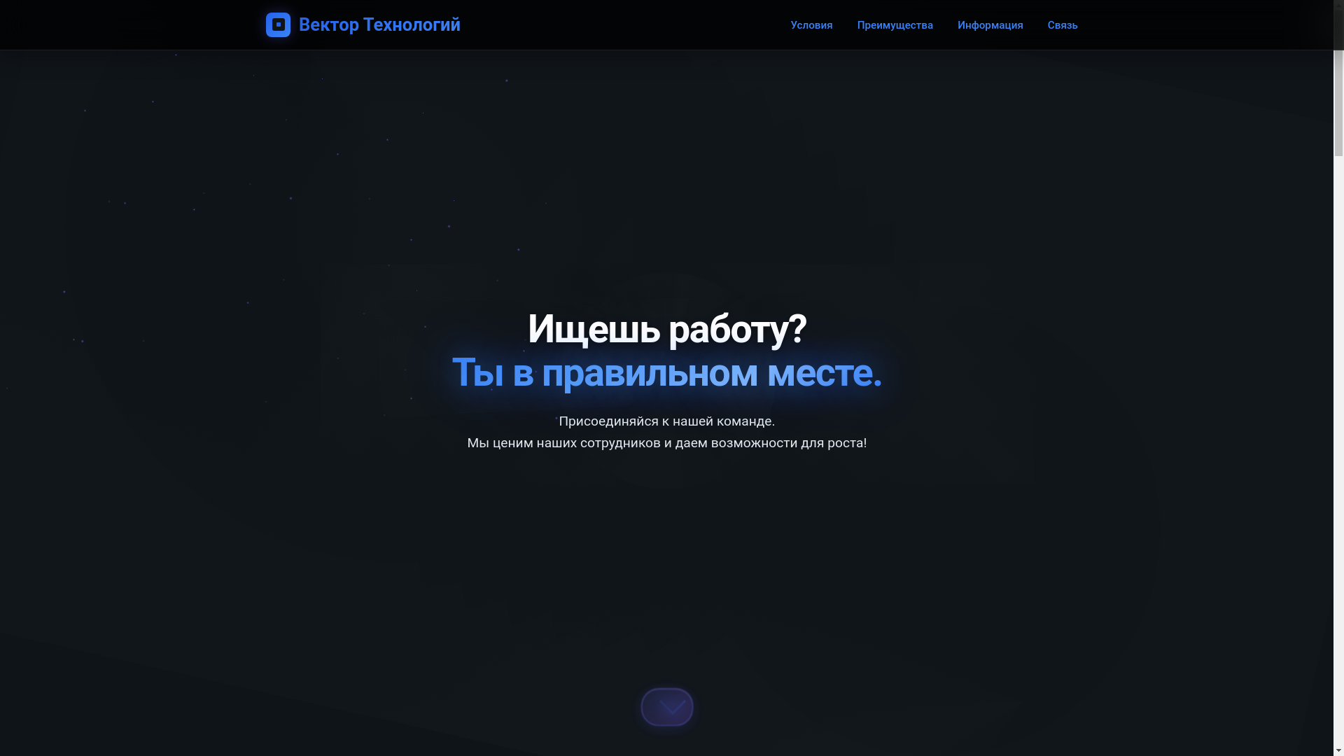 website screenshot of https://vektortehno.ru/