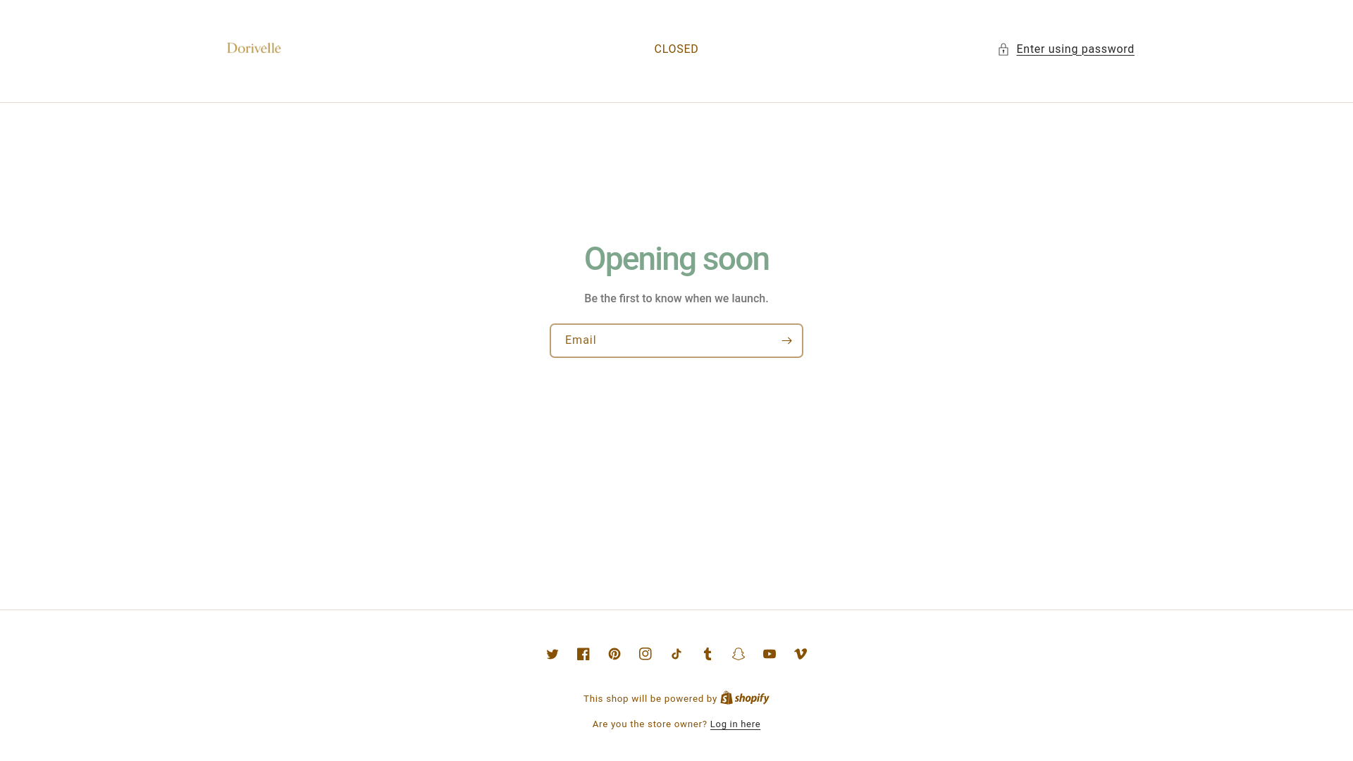 website screenshot of https://dorivelle.com/